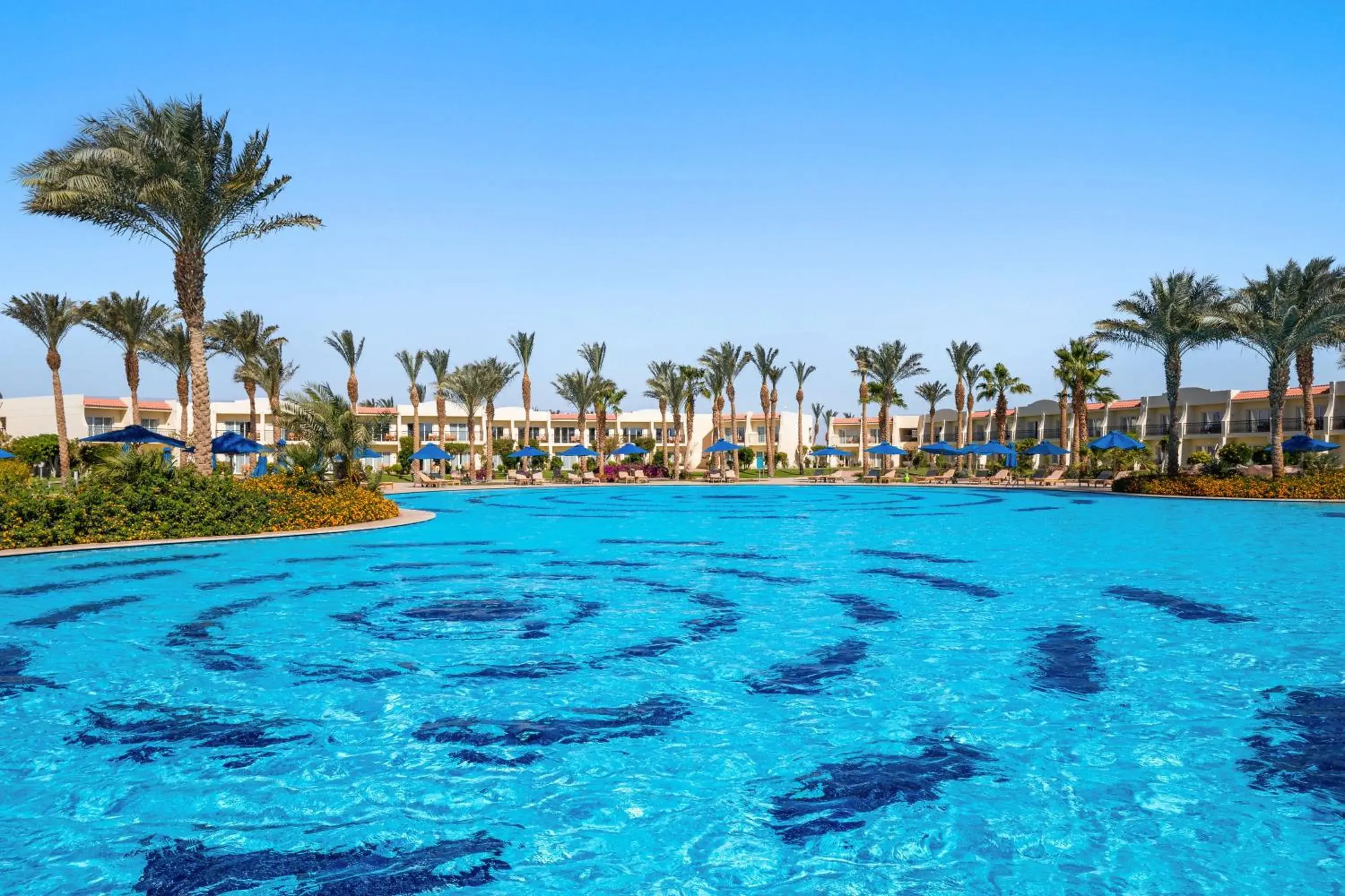 Pool view in DoubleTree by Hilton Sharks Bay Resort Pool view in DoubleTree by Hilton Sharks Bay Resort