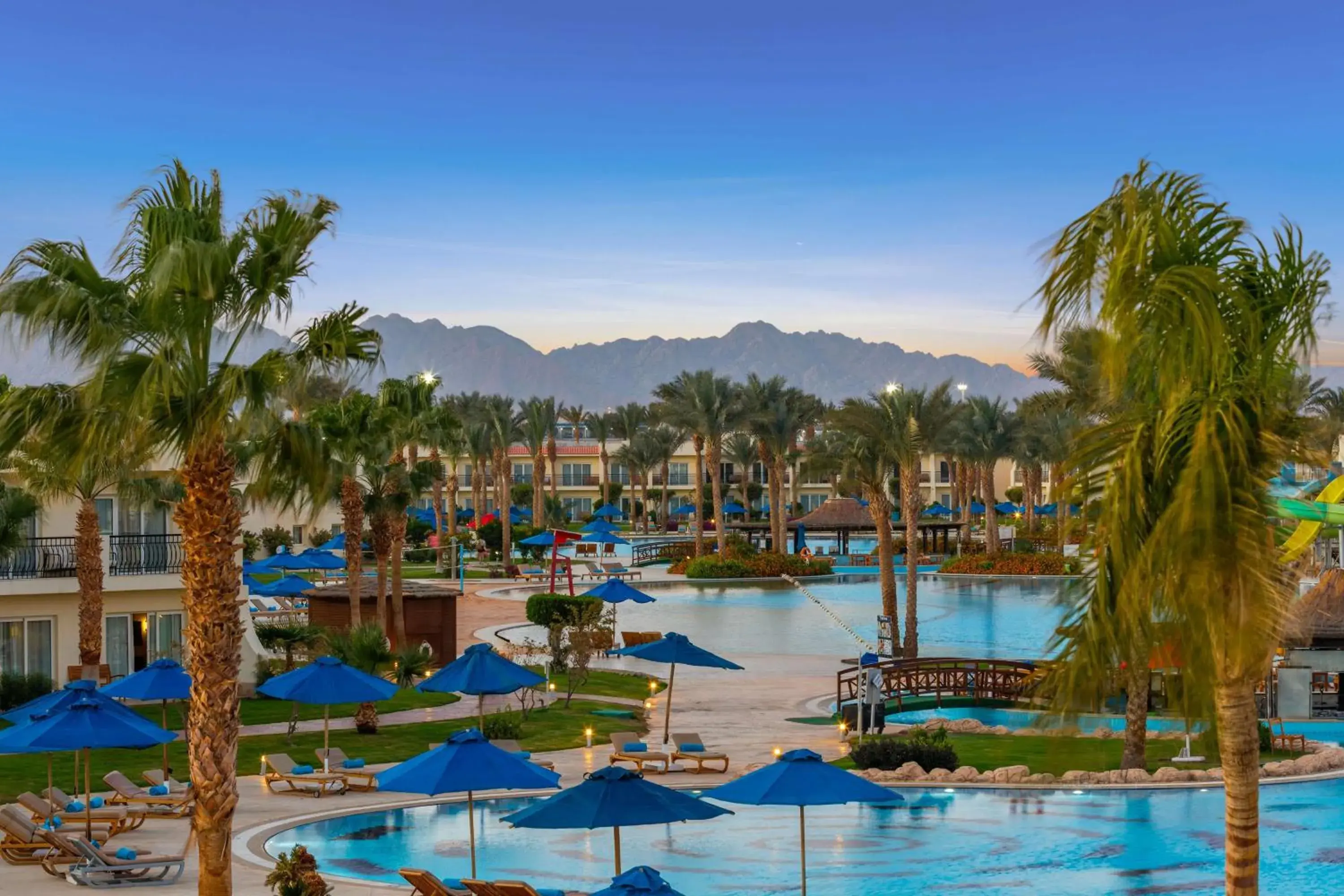 Pool view in DoubleTree by Hilton Sharks Bay Resort Pool view in DoubleTree by Hilton Sharks Bay Resort