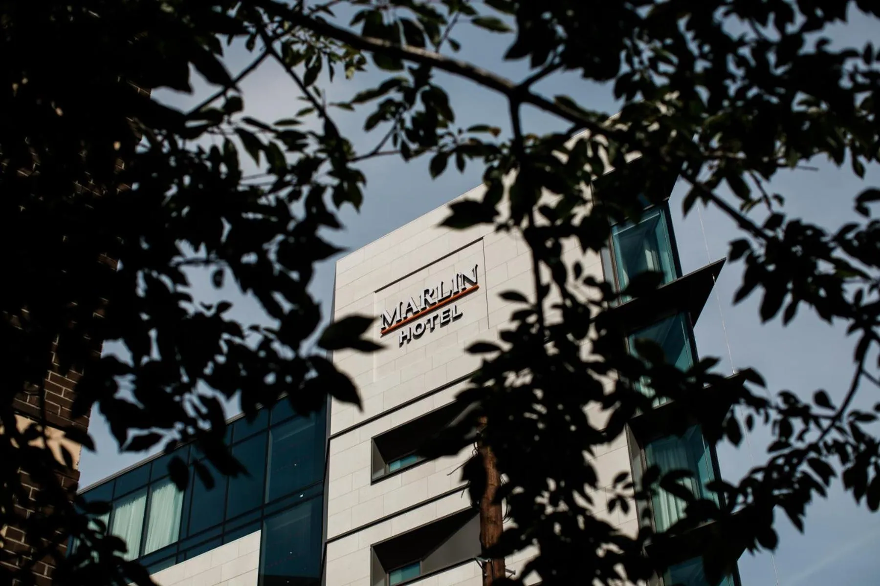 Bird's eye view in Marlin Hotel Stephens Green