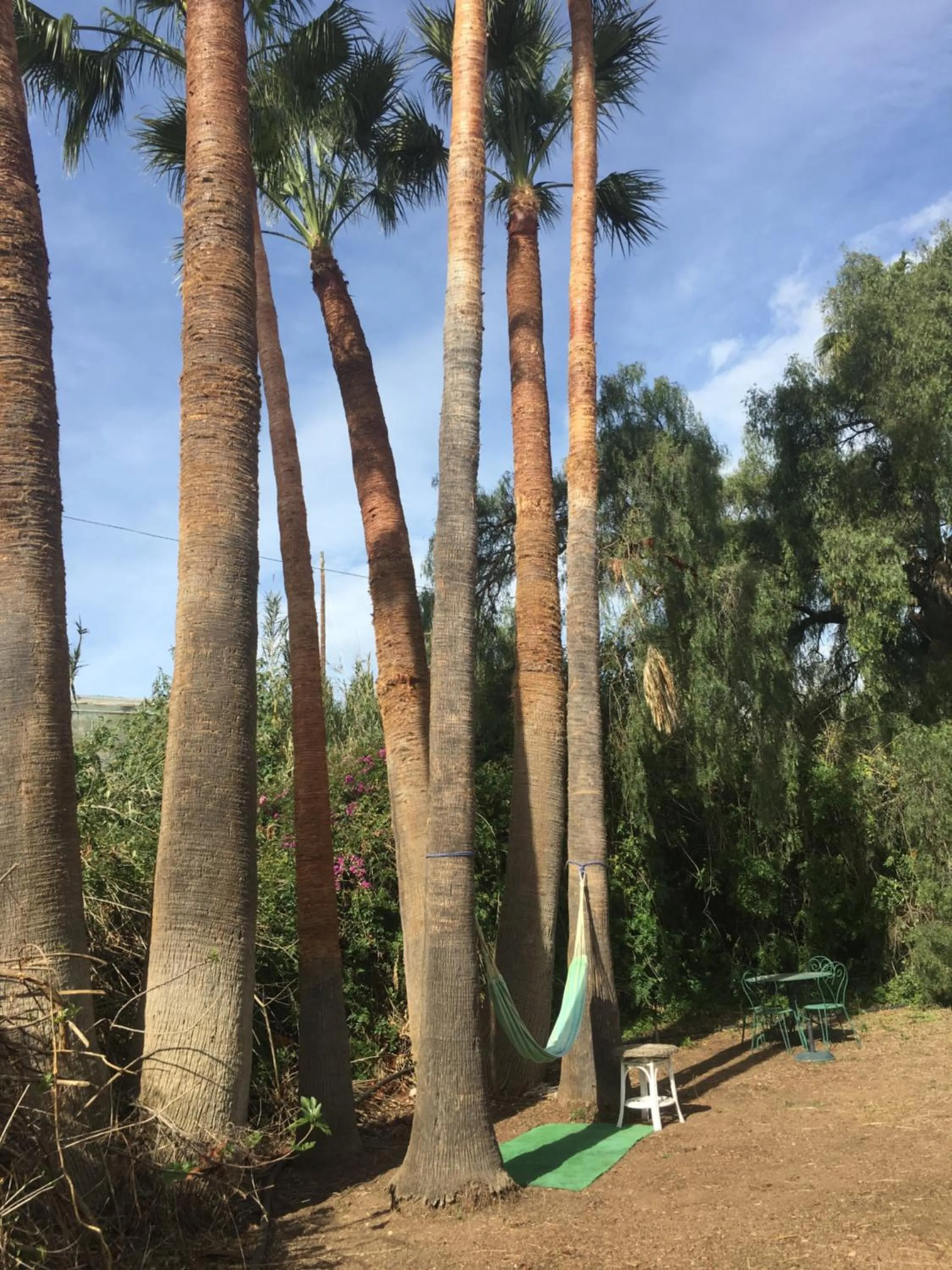 Garden view in Casa Rural Paloma