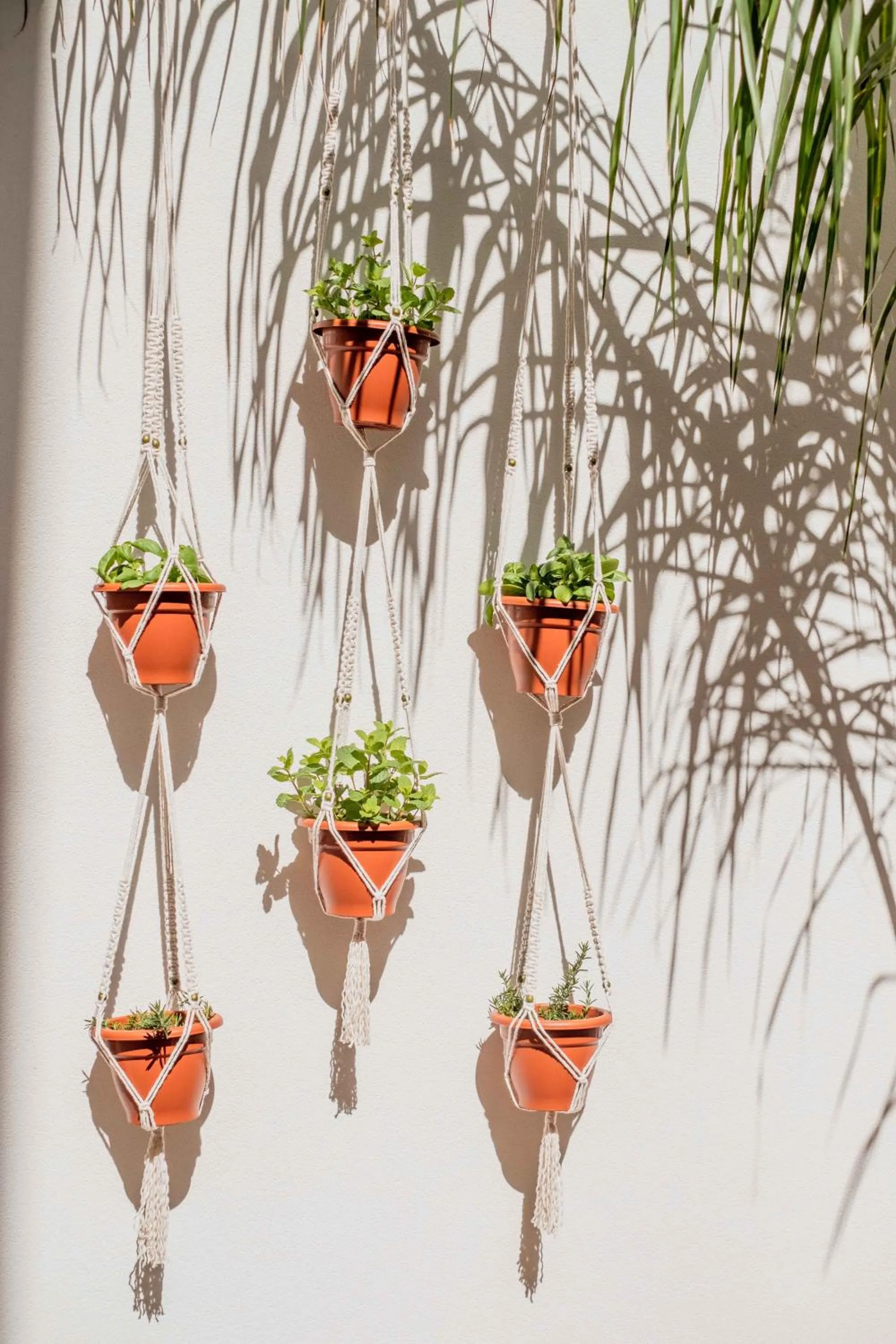Inner courtyard view in Casa Creativa Lagos