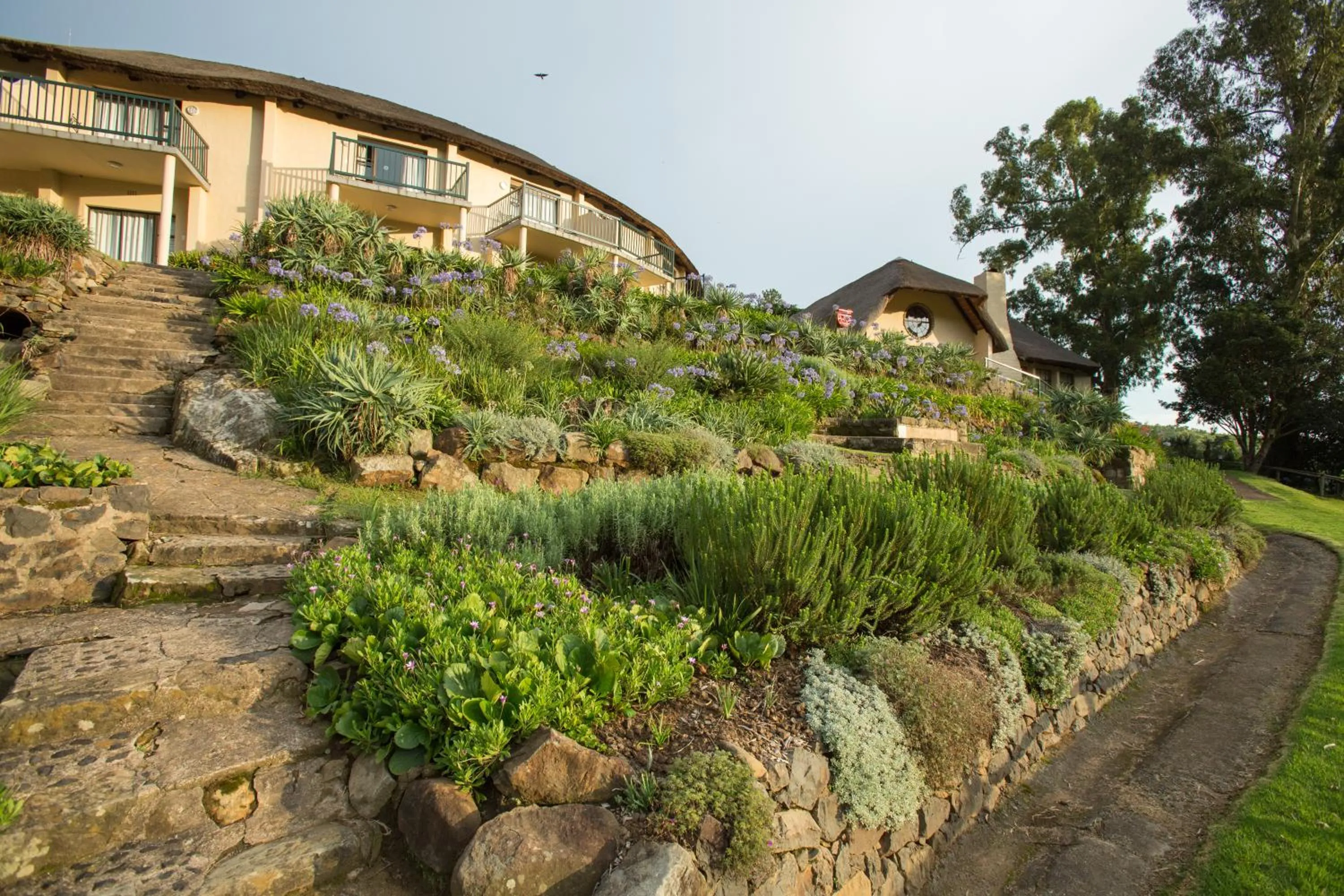 Garden in Cavern Resort & Spa