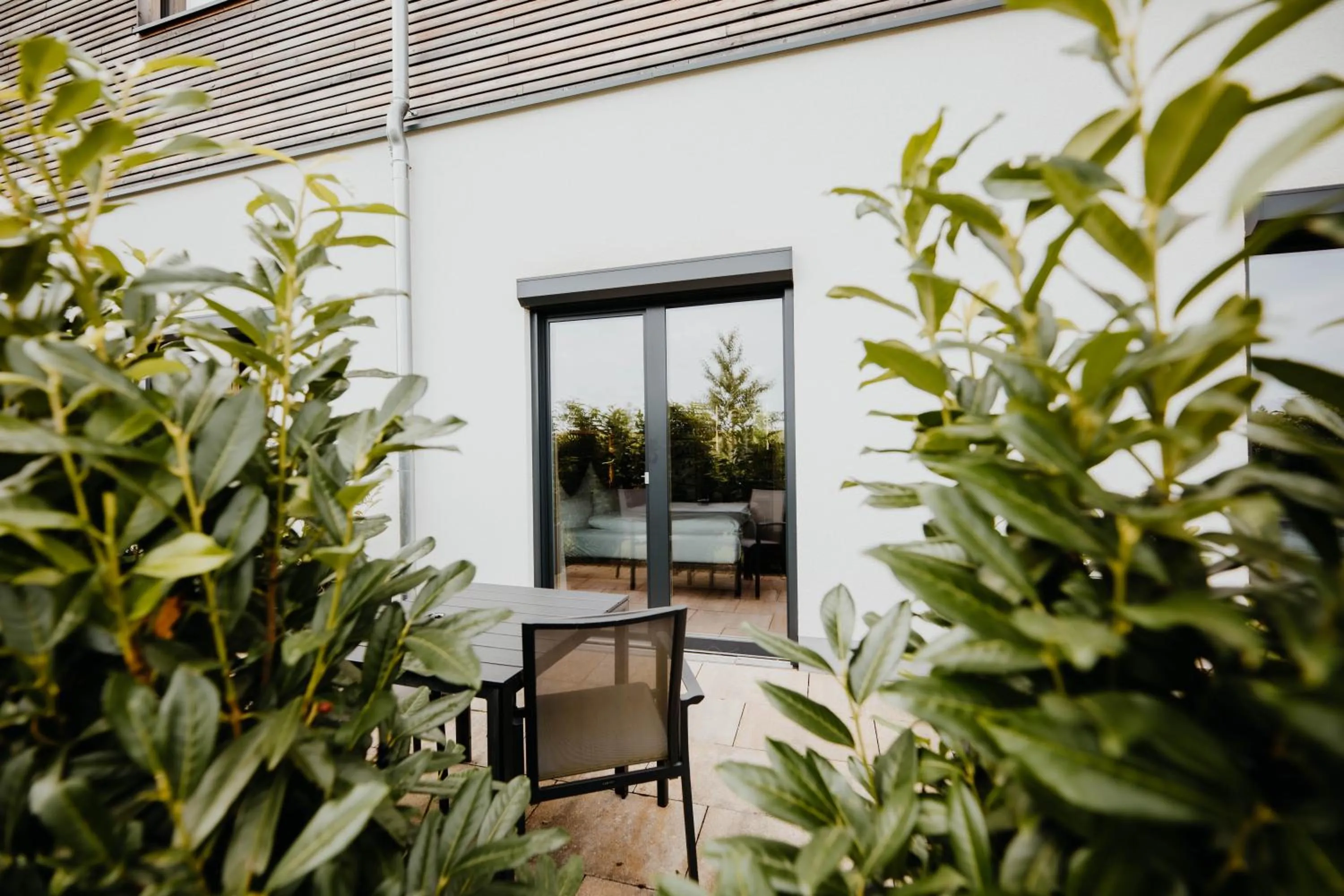 View (from property/room) in Sonnenhotel Weingut Römmert Spa und Wellness