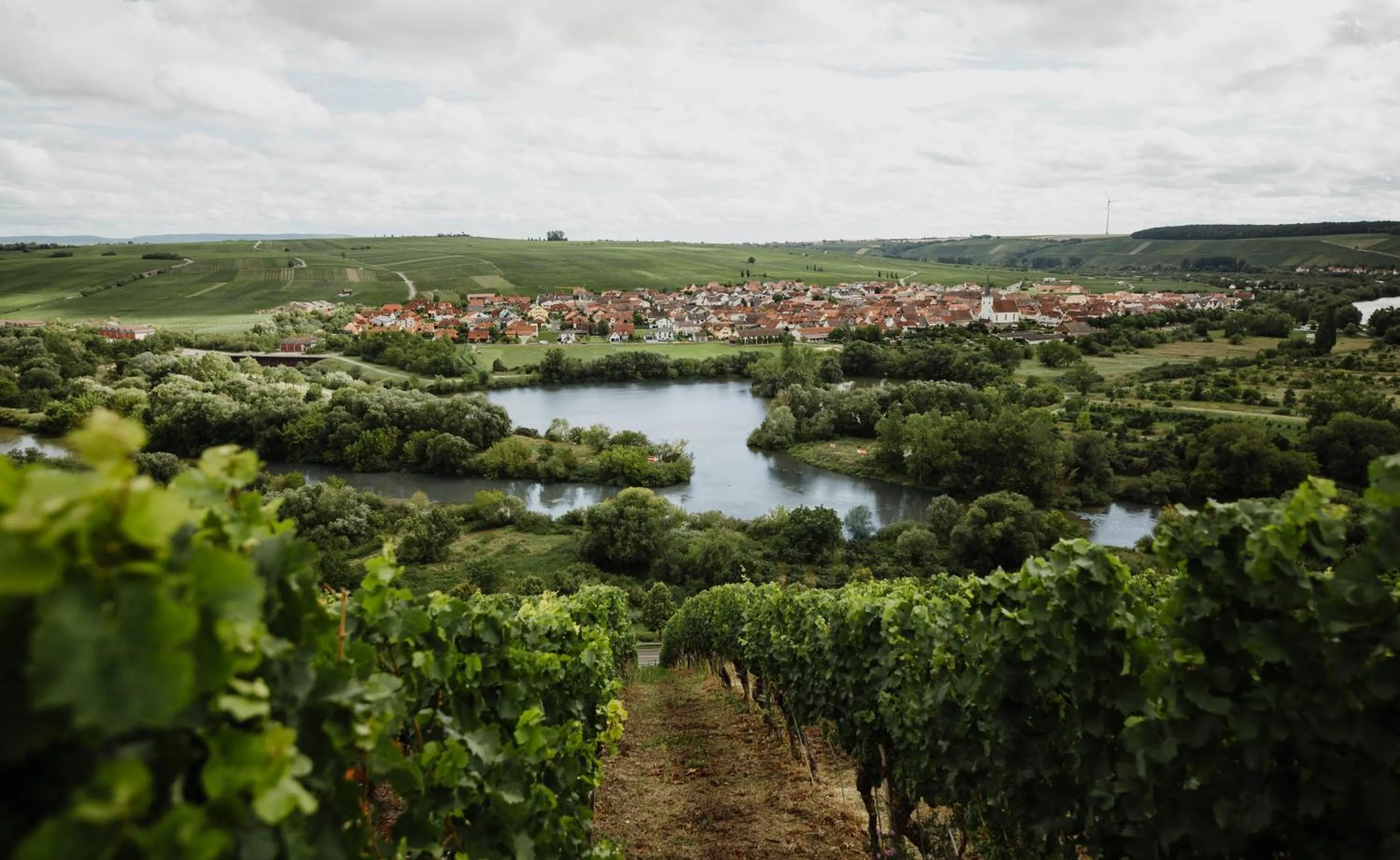 Off site in Sonnenhotel Weingut Römmert Spa und Wellness