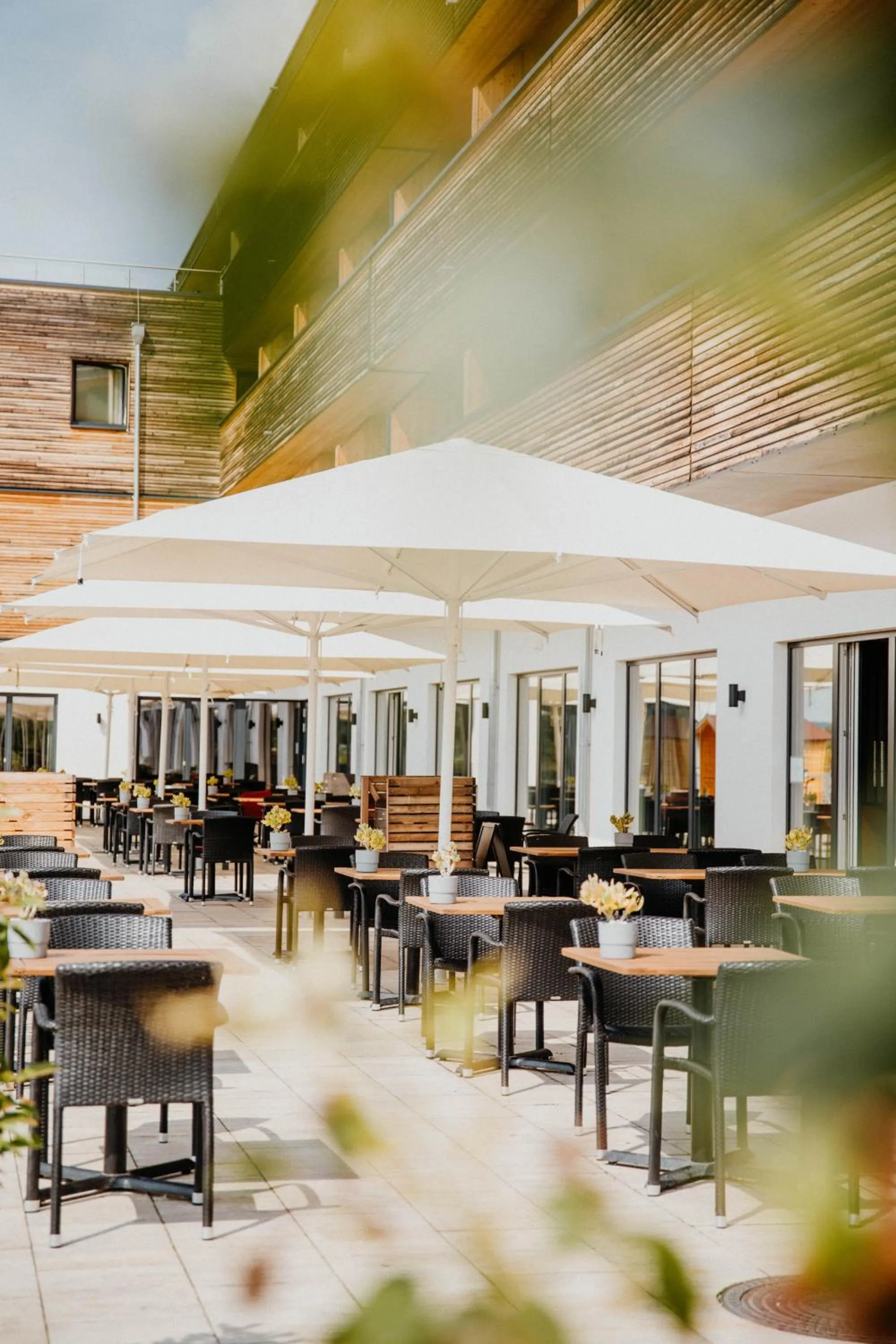 Restaurant/places to eat in Sonnenhotel Weingut Römmert Spa und Wellness