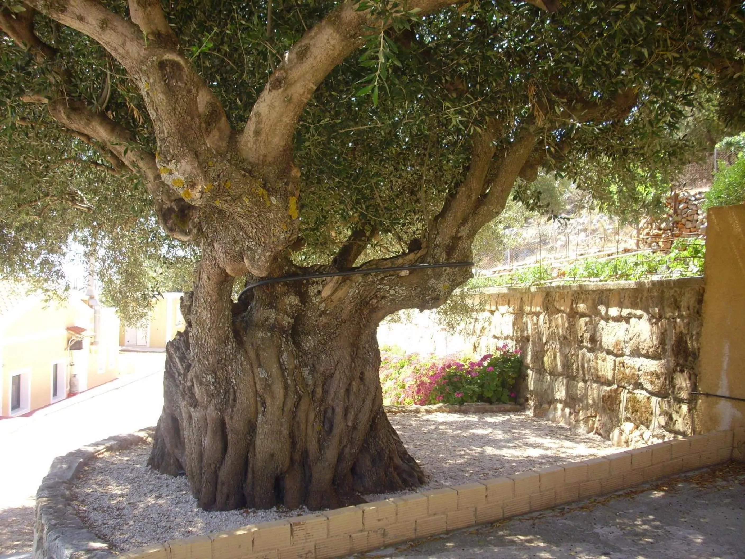 Natural landscape in Asteras Studios