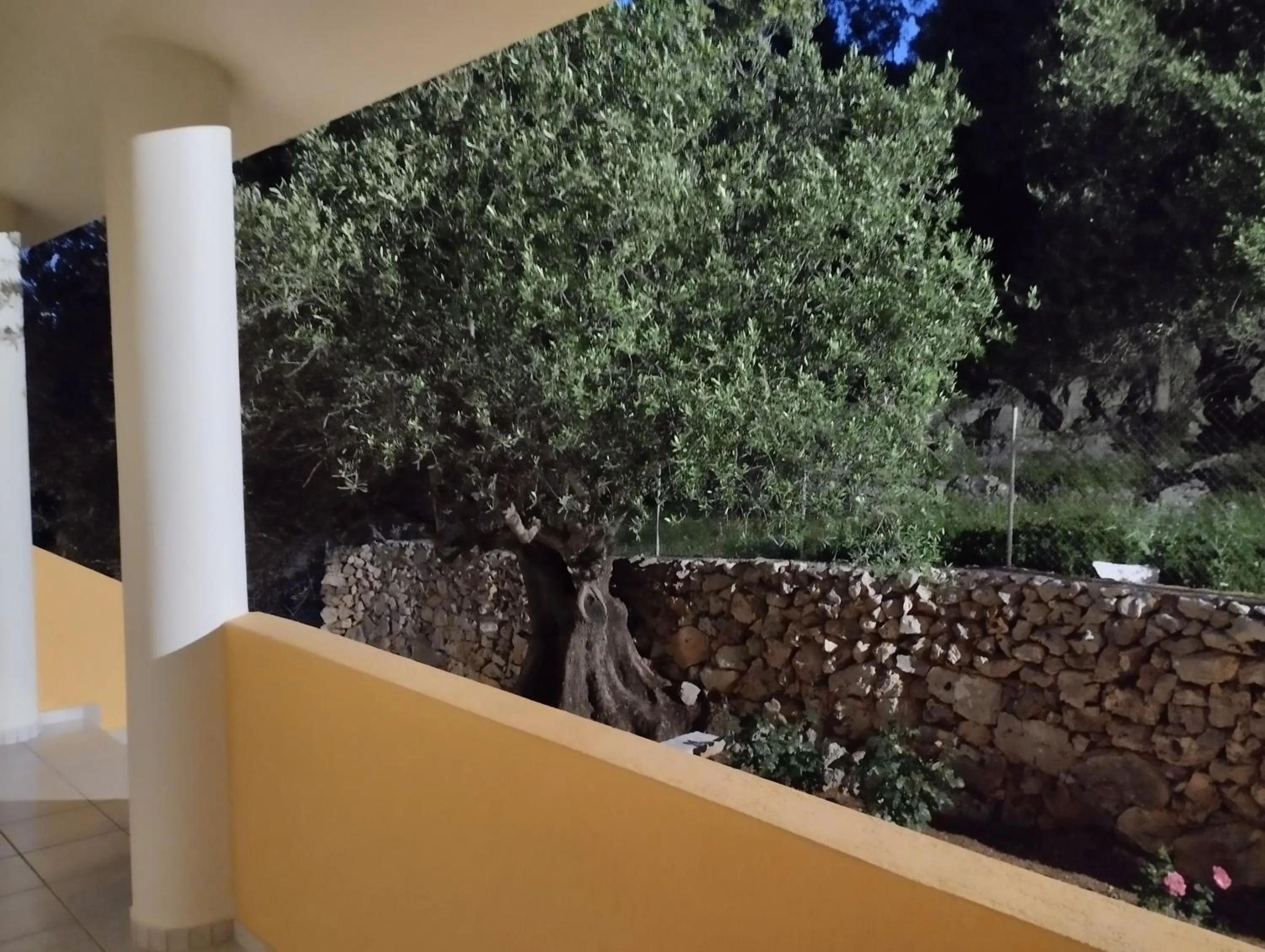 Garden in Asteras Studios
