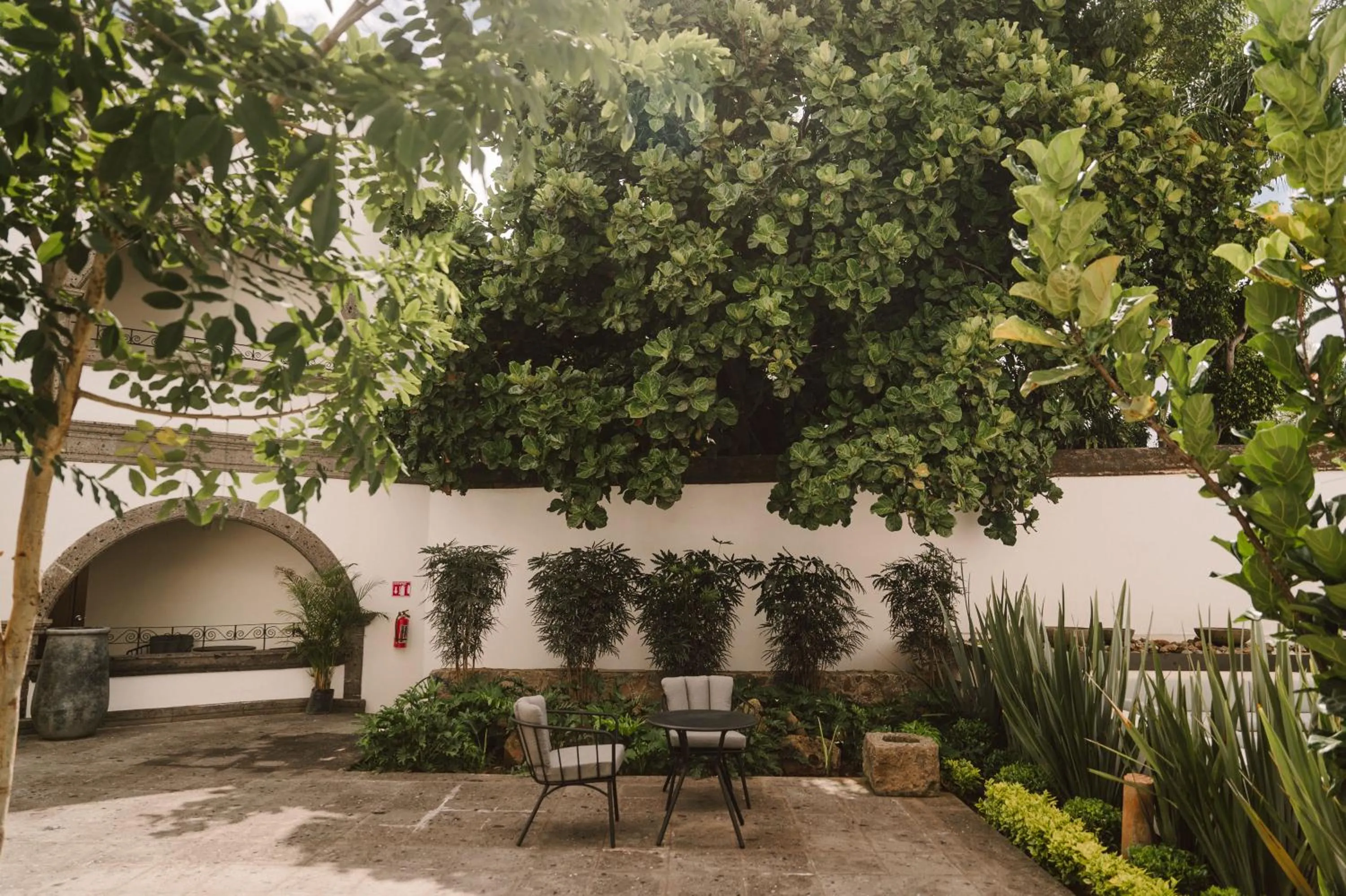 Hotel Hacienda la Venta