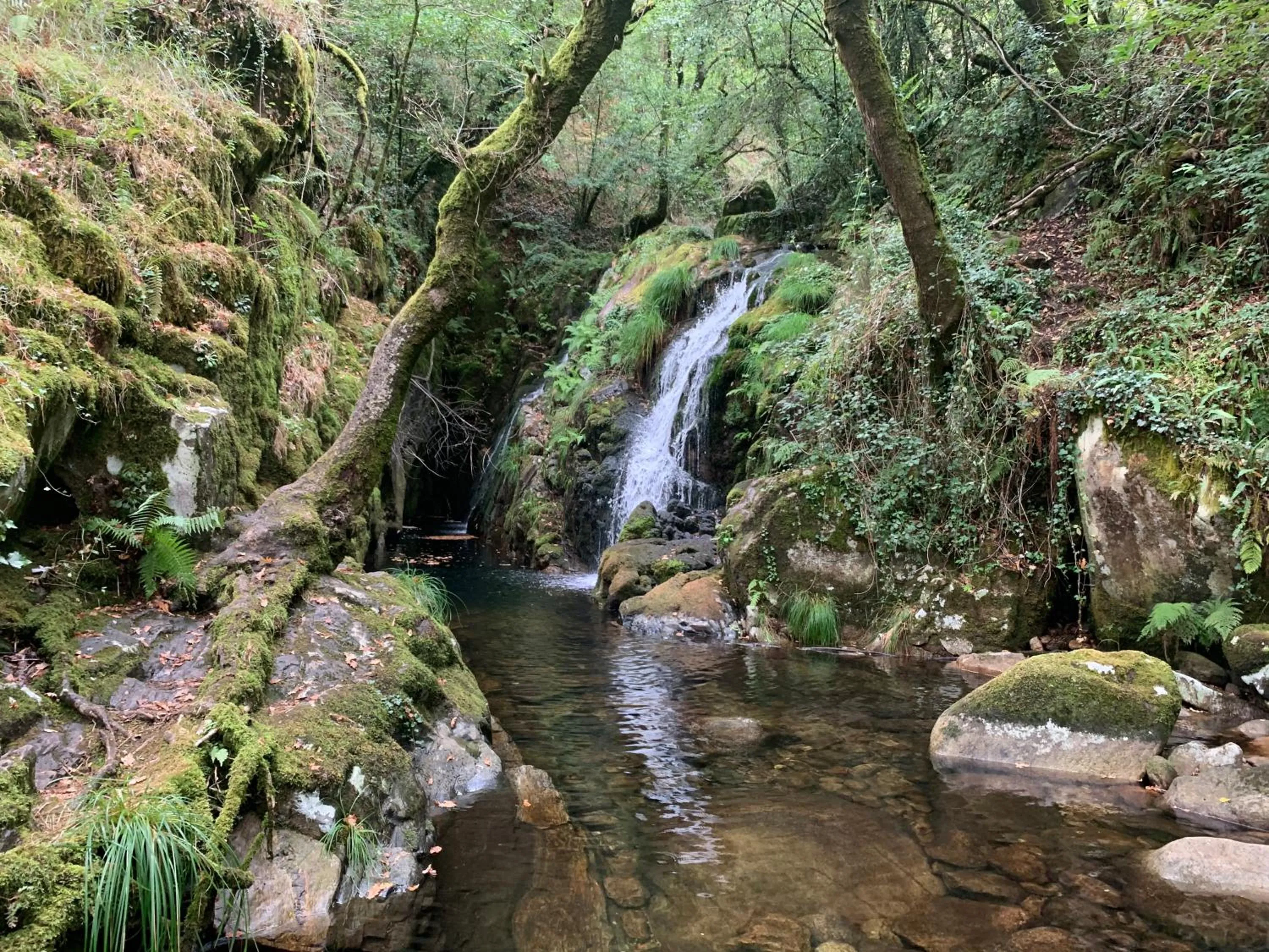 Natural landscape in Albergue Ponte Olveira