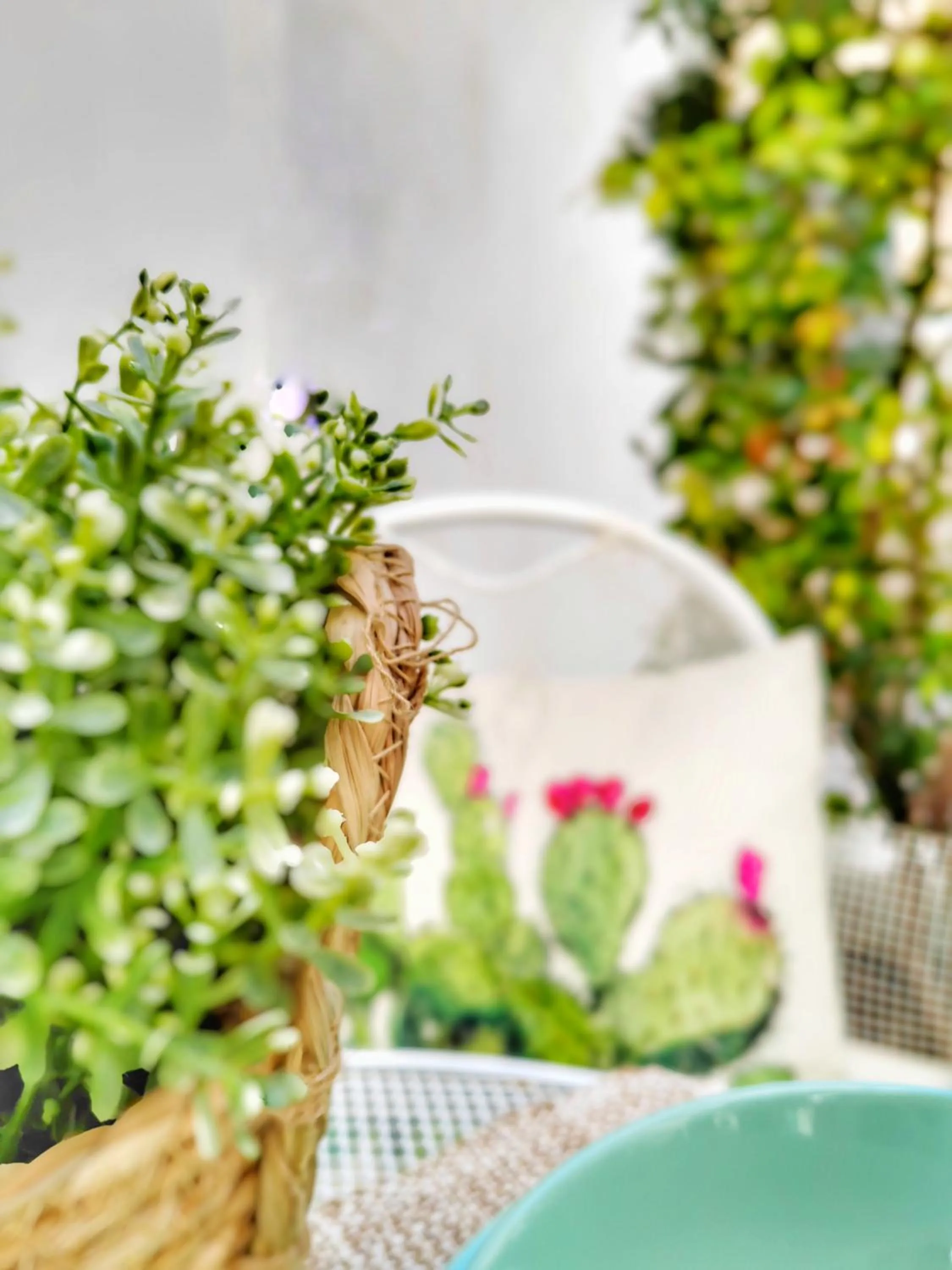 Carpe Diem B&B e Case Vacanza