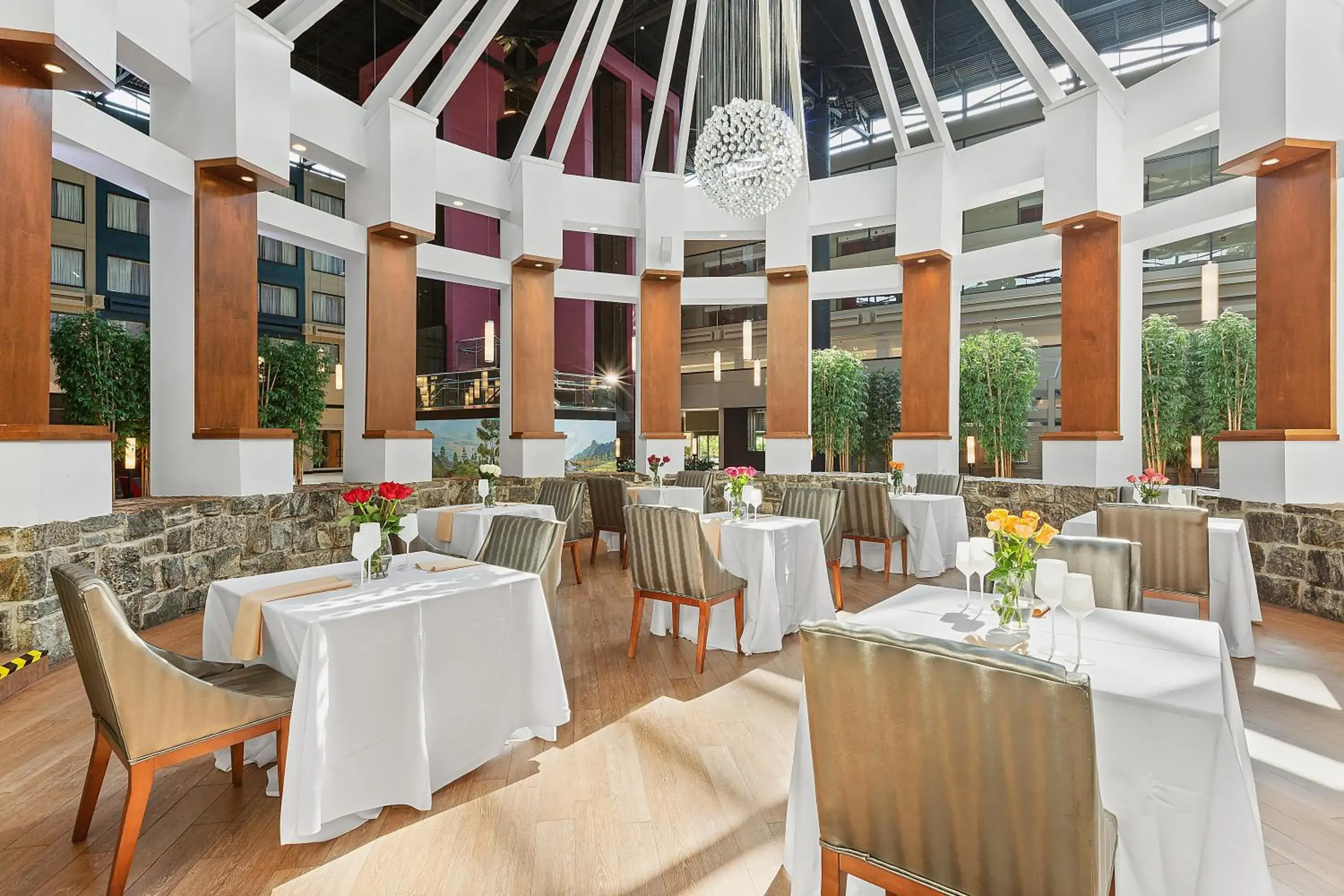 Restaurant/places to eat in The Armon Stamford Hotel & Conference Center Restaurant/places to eat in The Armon Stamford Hotel & Conference Center