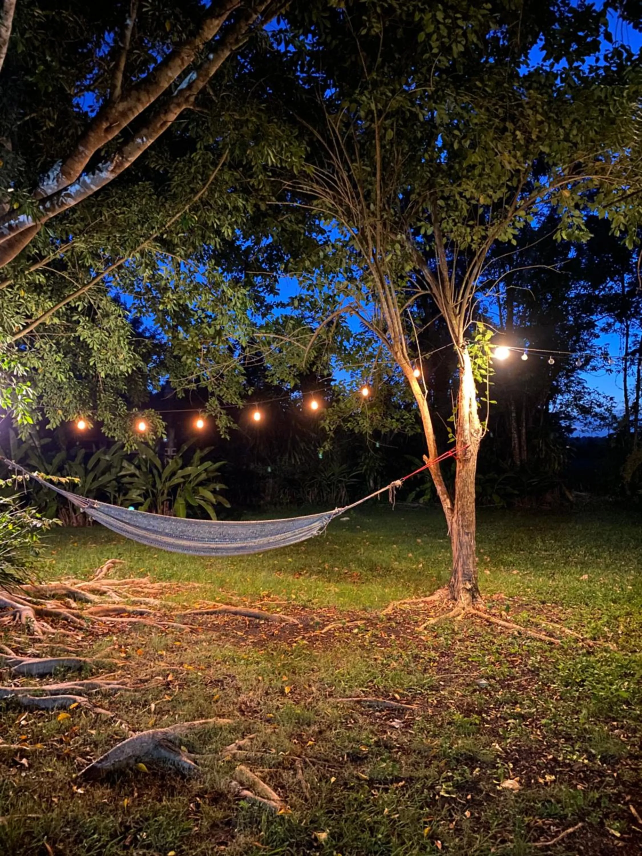Night in Campito Loving