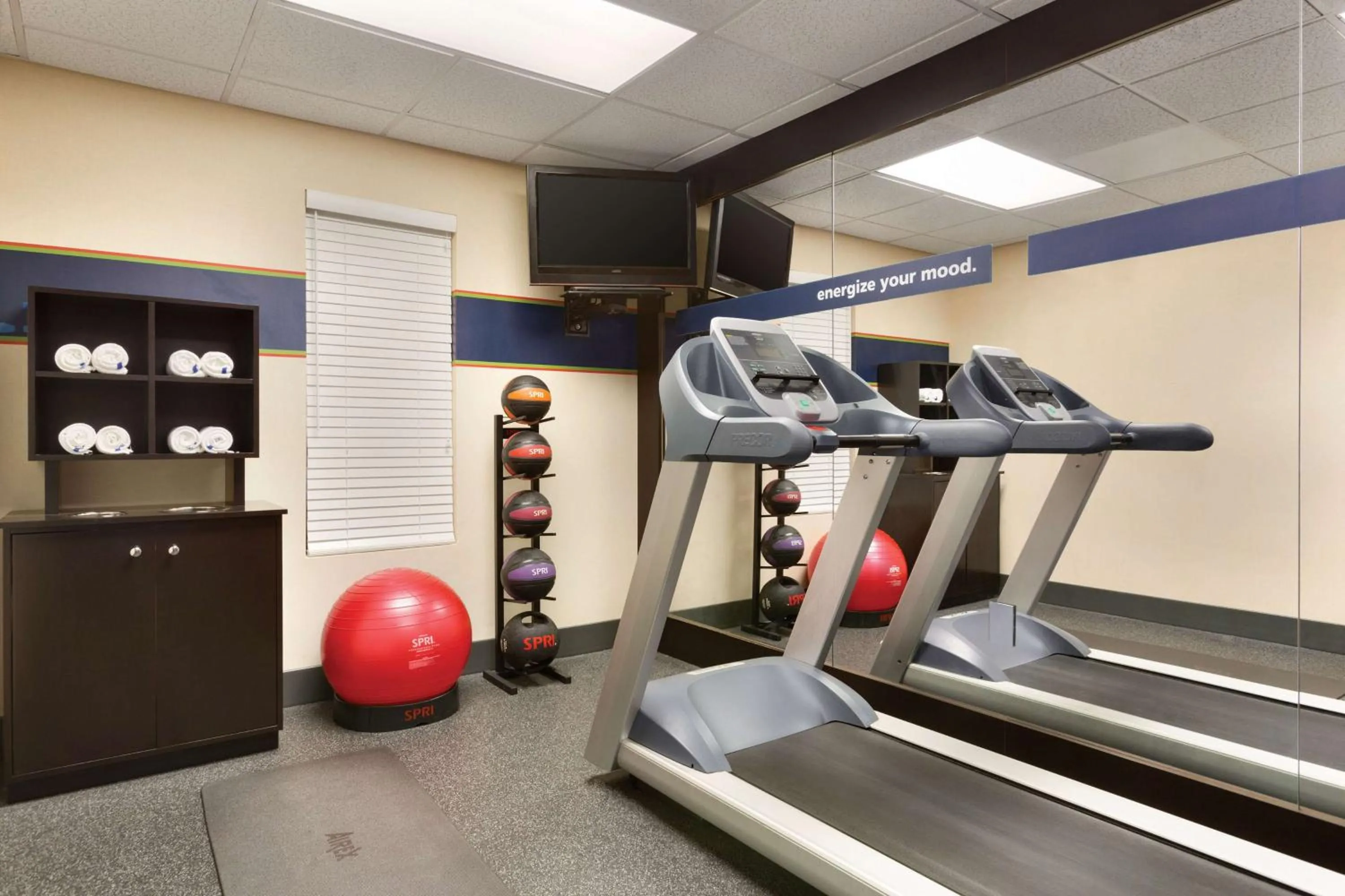 Fitness centre/facilities in Hampton Inn & Suites Tarpon Springs