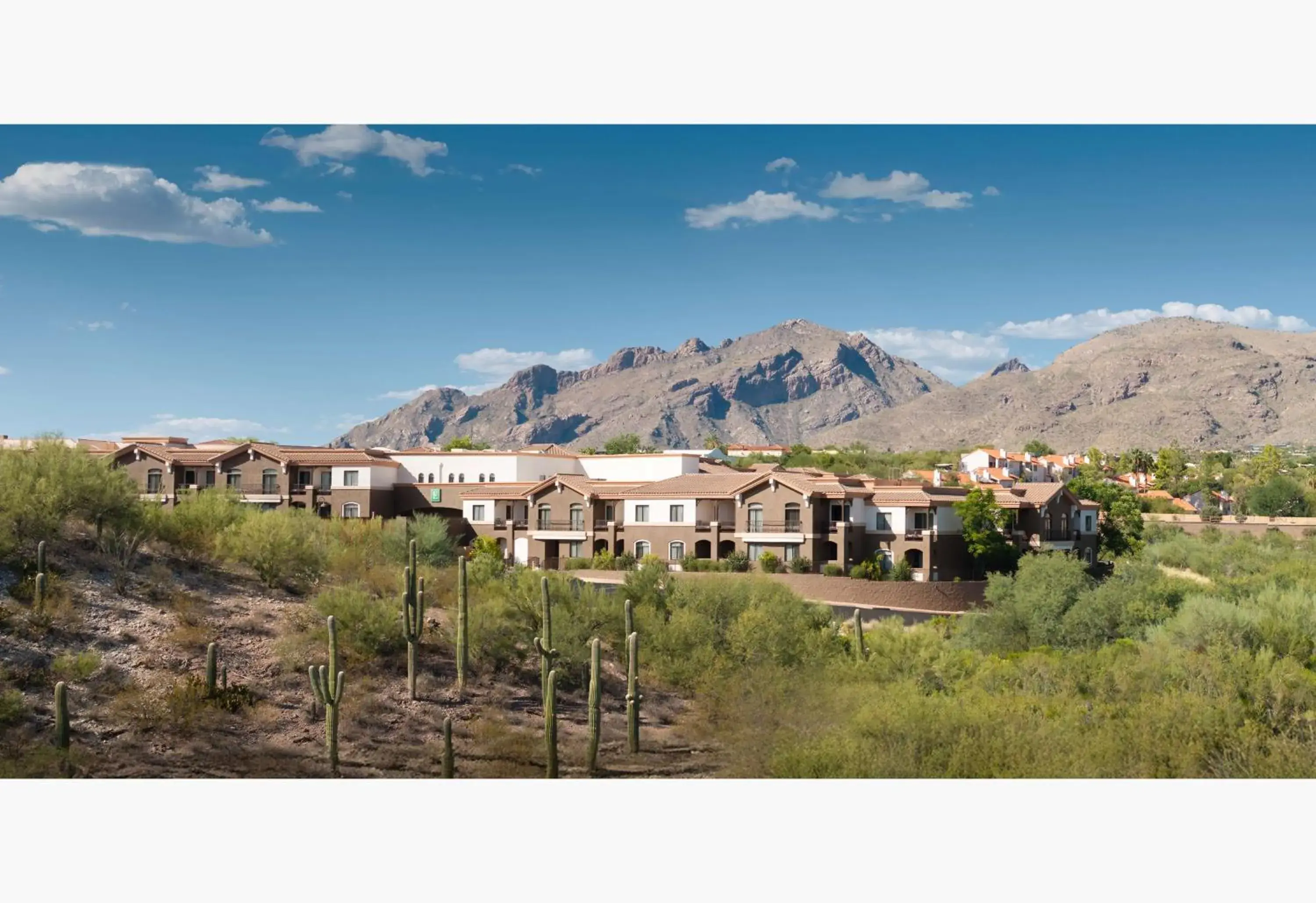 Property building in Embassy Suites Tucson - Paloma Village Property building in Embassy Suites Tucson - Paloma Village