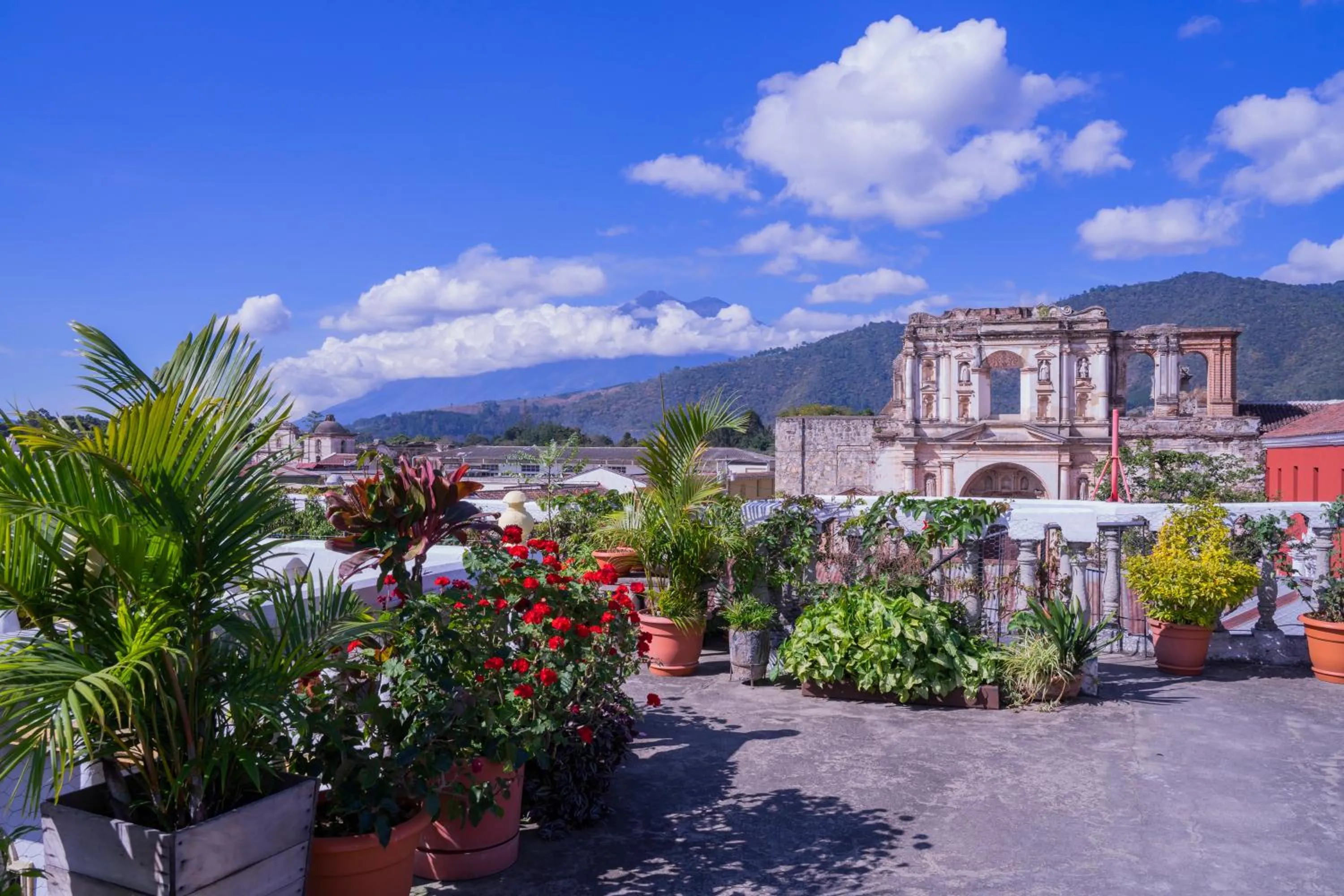 Garden in Hotel Gran Plaza Euromaya