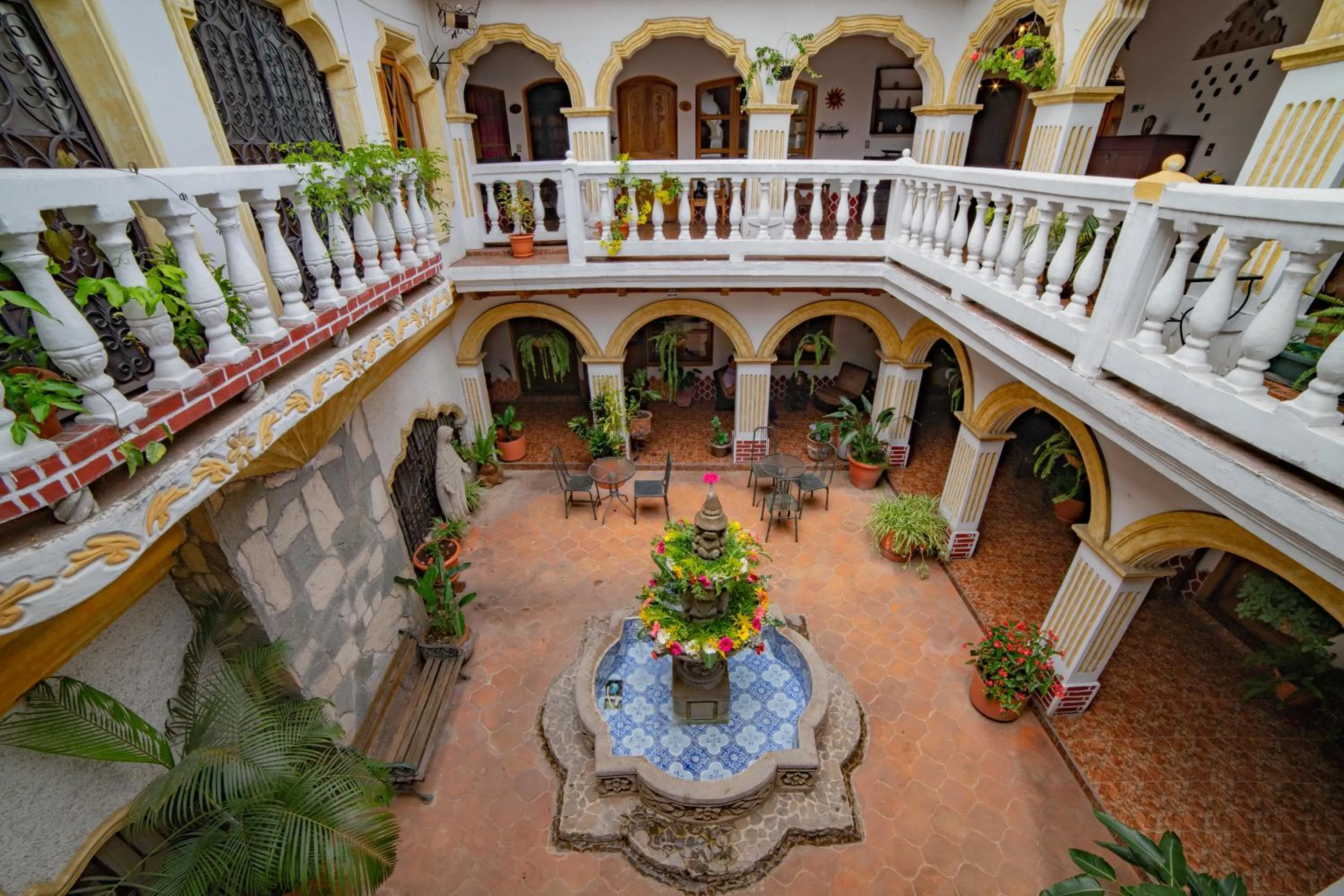 Garden in Hotel Gran Plaza Euromaya