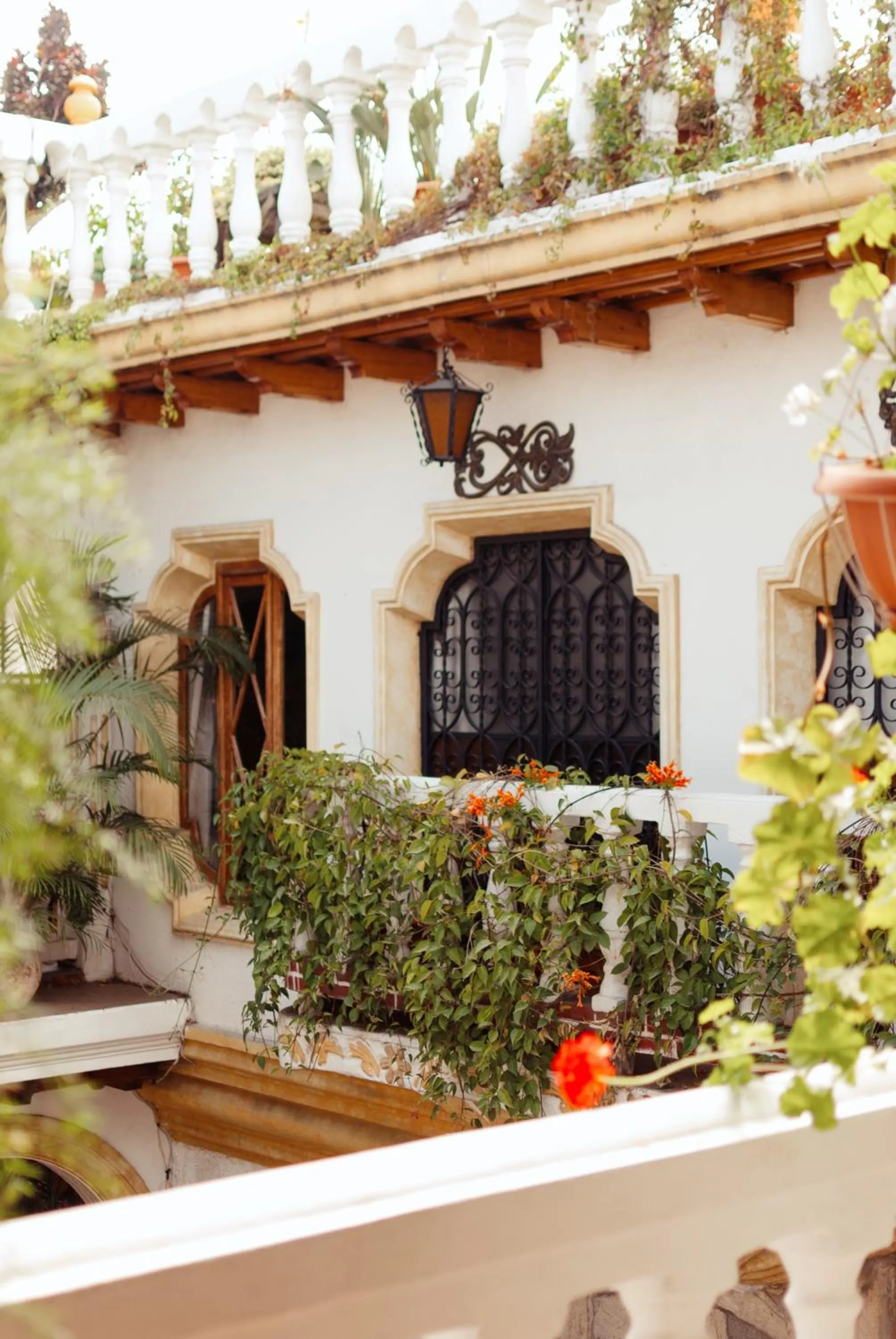 Garden view in Hotel Gran Plaza Euromaya
