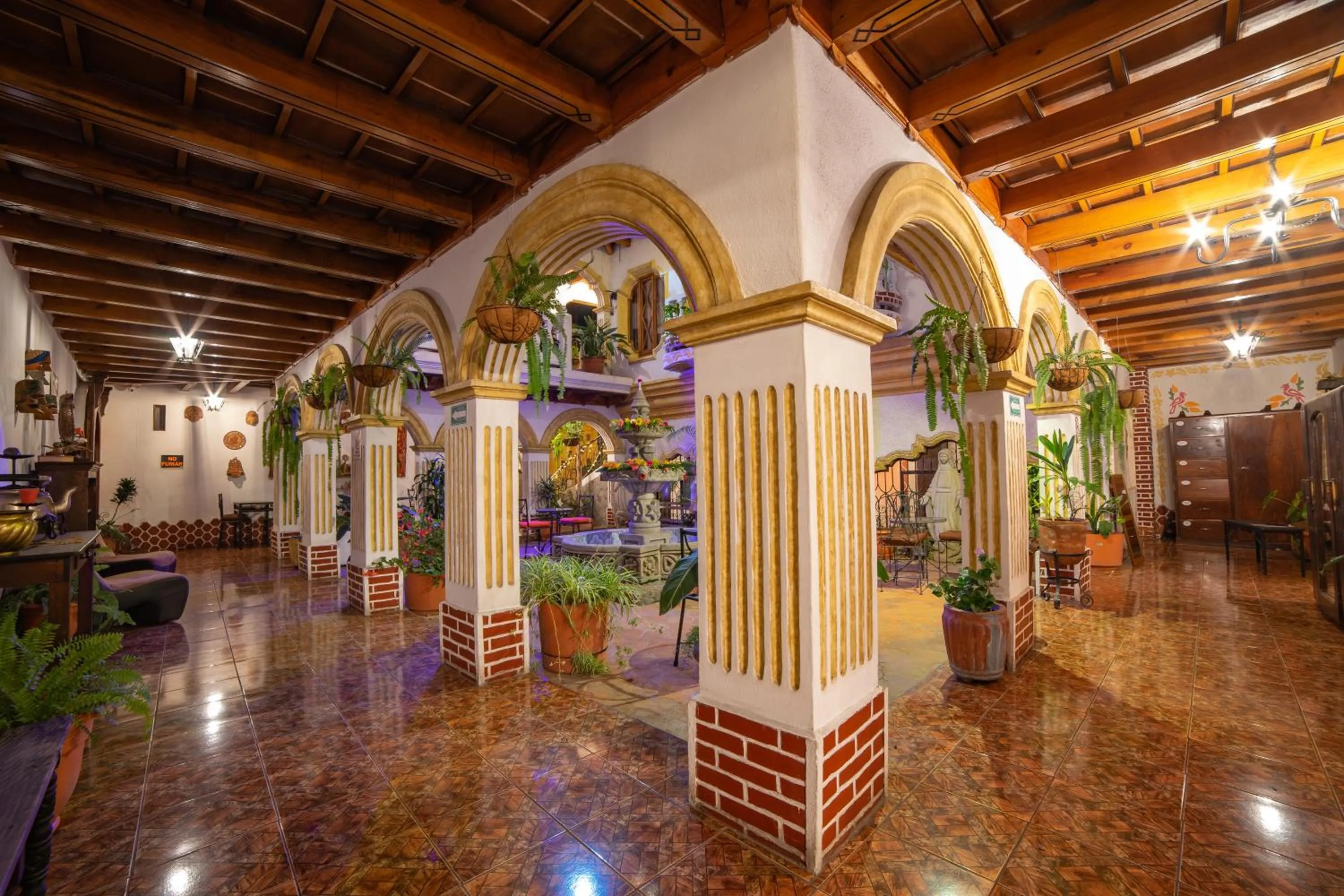 Garden in Hotel Gran Plaza Euromaya
