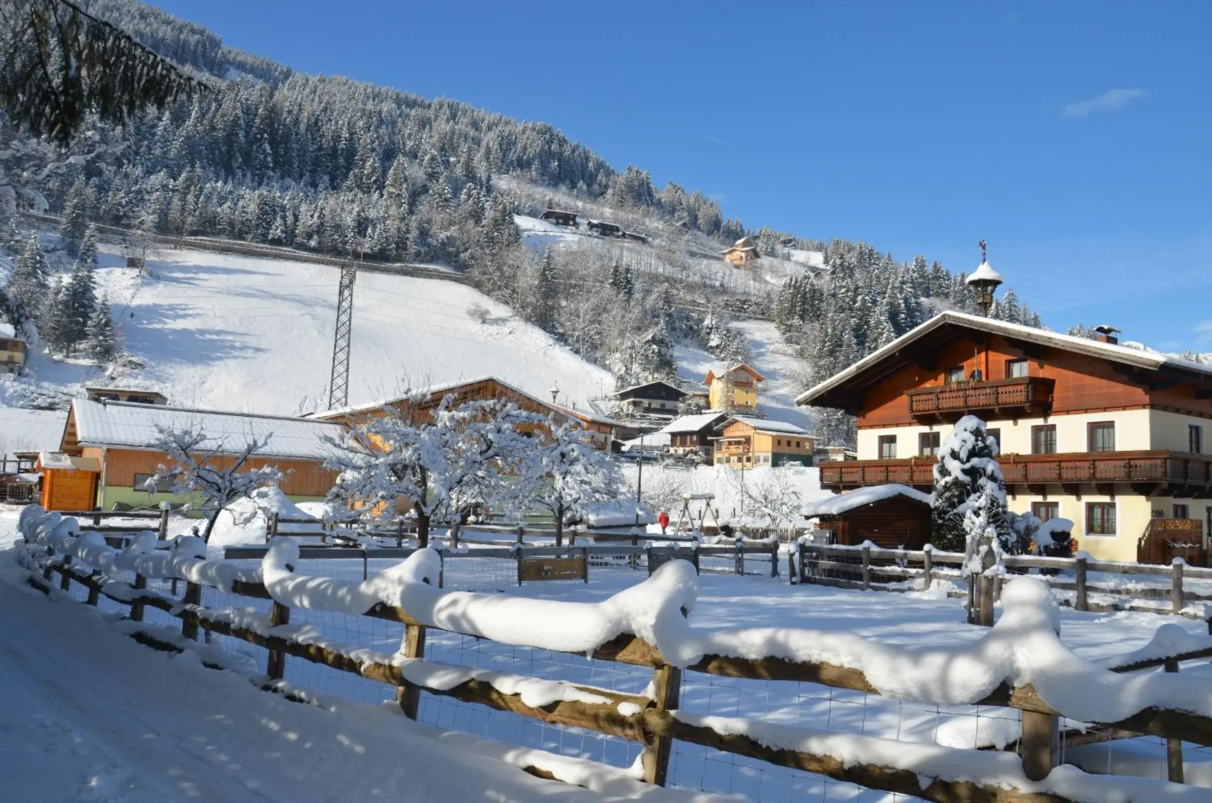 Scheibenhof Scheibenhof