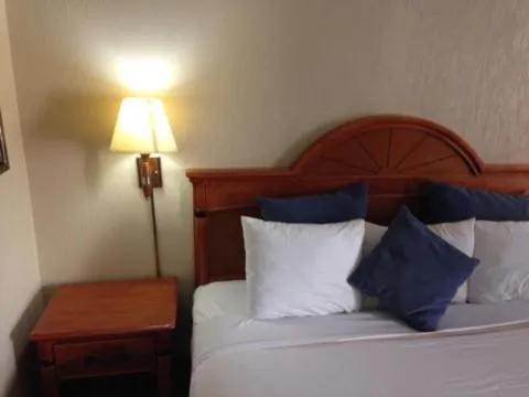 Bed in Downtowner Inn and Suites - Houston