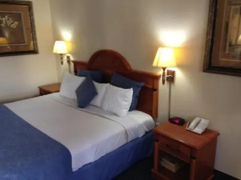 Bed in Downtowner Inn and Suites - Houston