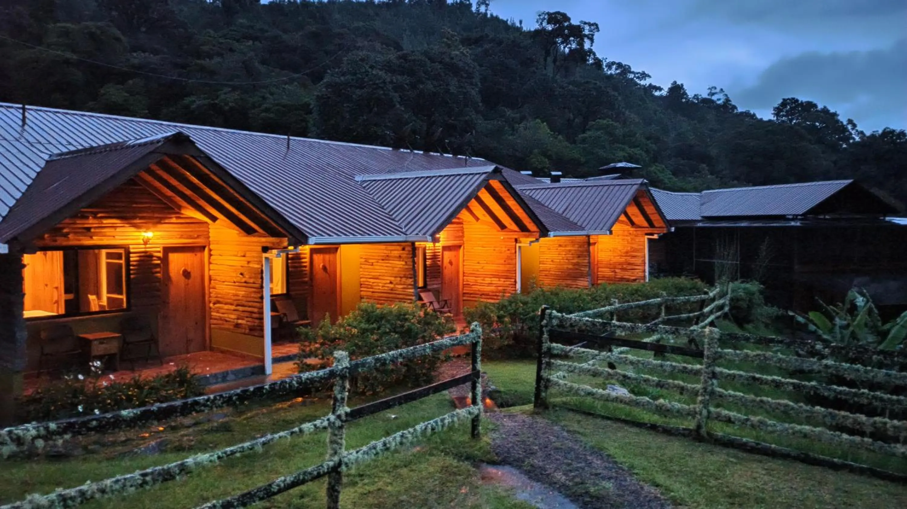 Property building in TREE TREK BOQUETE Adventure Park