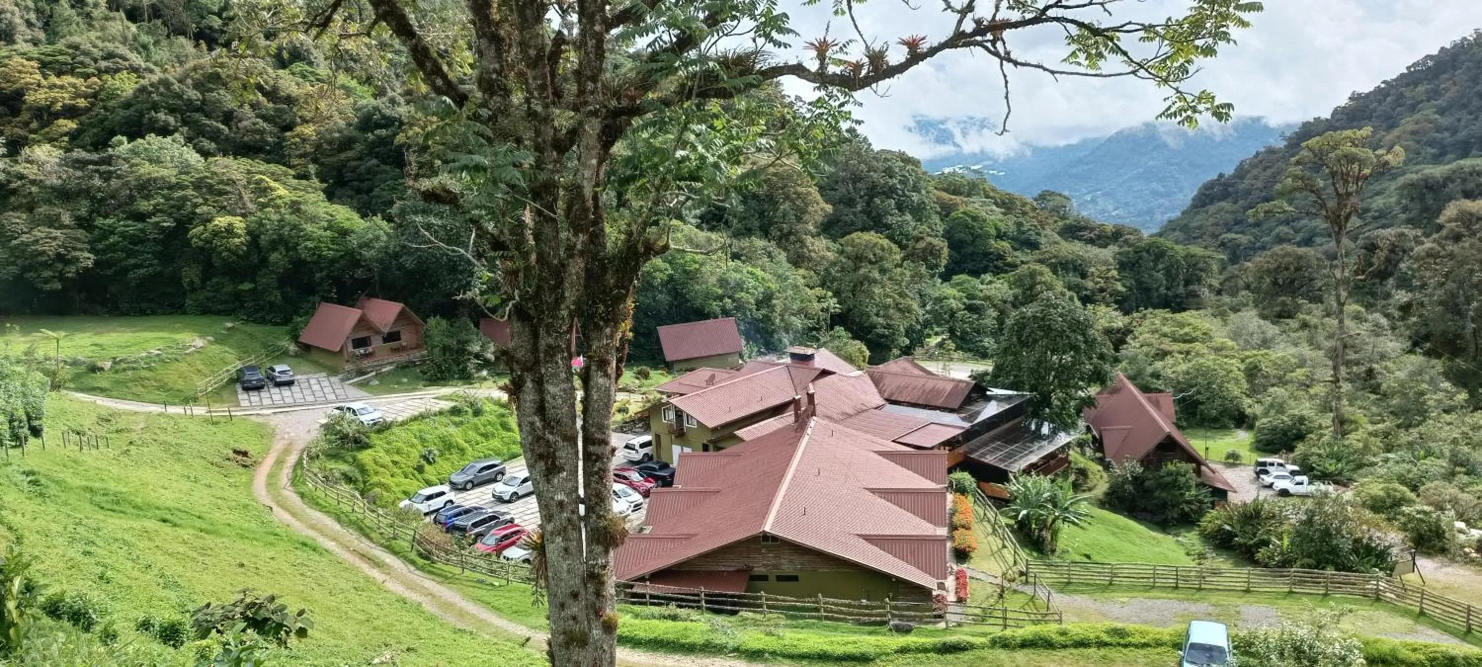 Property building in TREE TREK BOQUETE Adventure Park