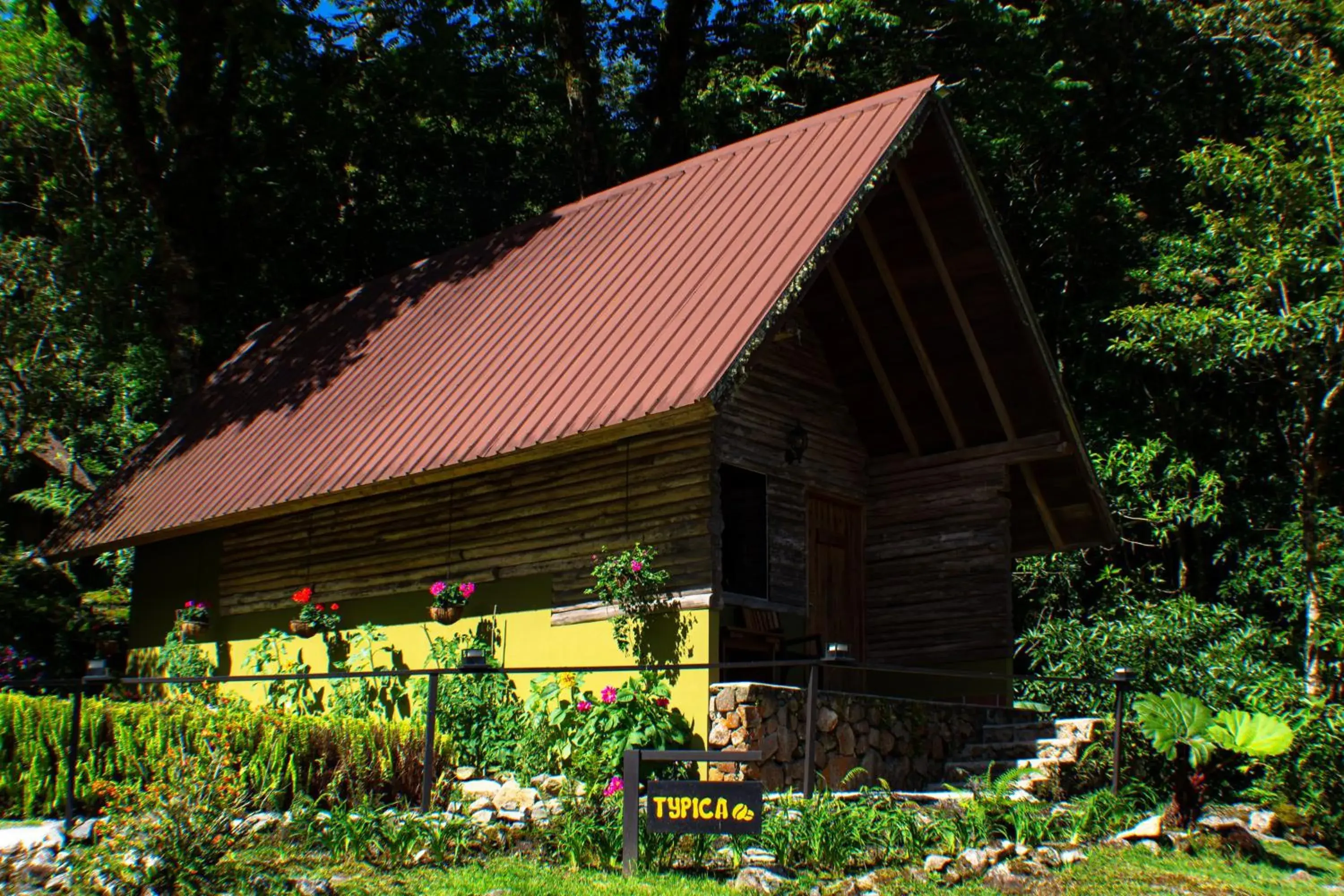 Family Cottage in TREE TREK BOQUETE Adventure Park Family Cottage in TREE TREK BOQUETE Adventure Park