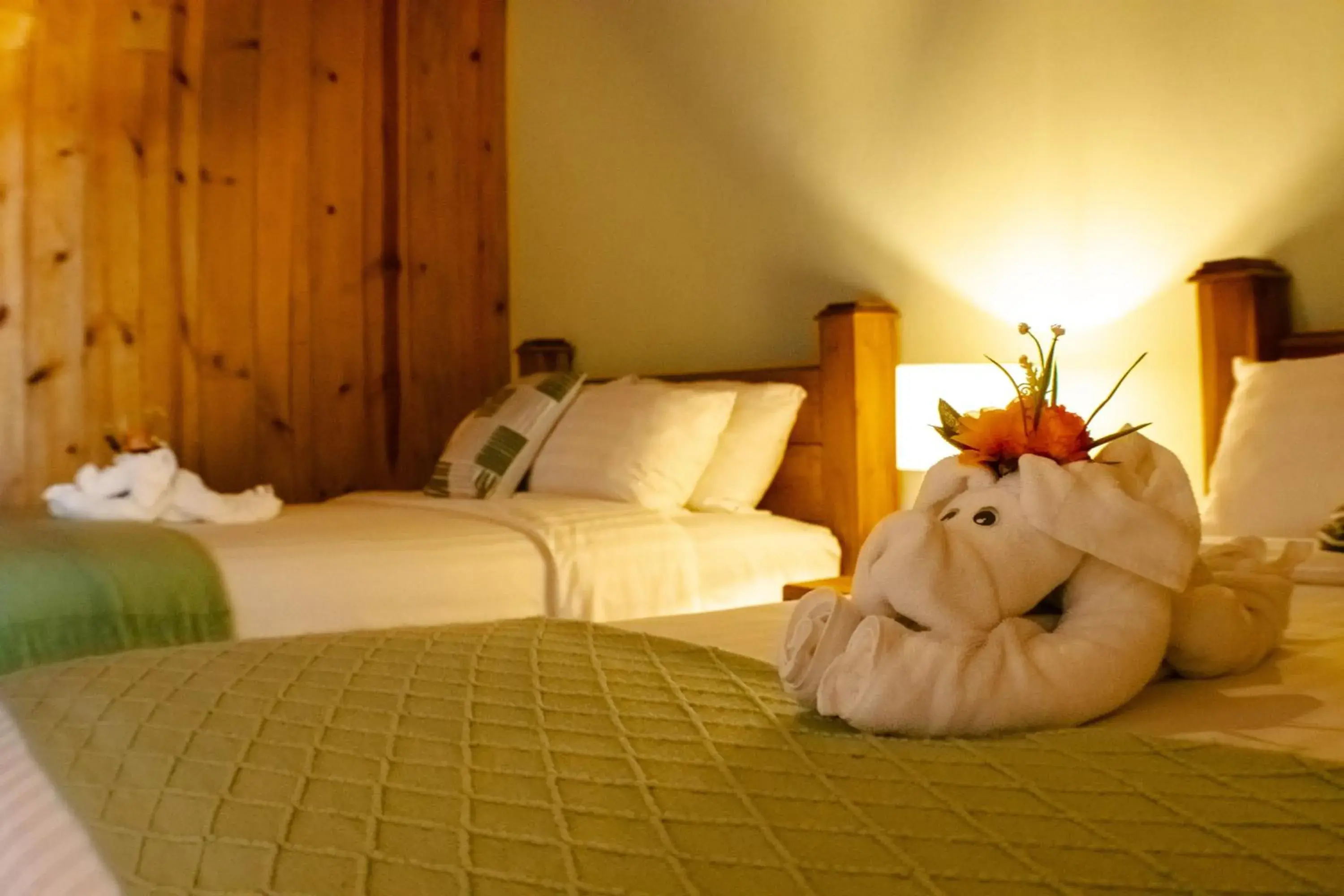 Queen Room with Two Queen Beds in TREE TREK BOQUETE Adventure Park Queen Room with Two Queen Beds in TREE TREK BOQUETE Adventure Park