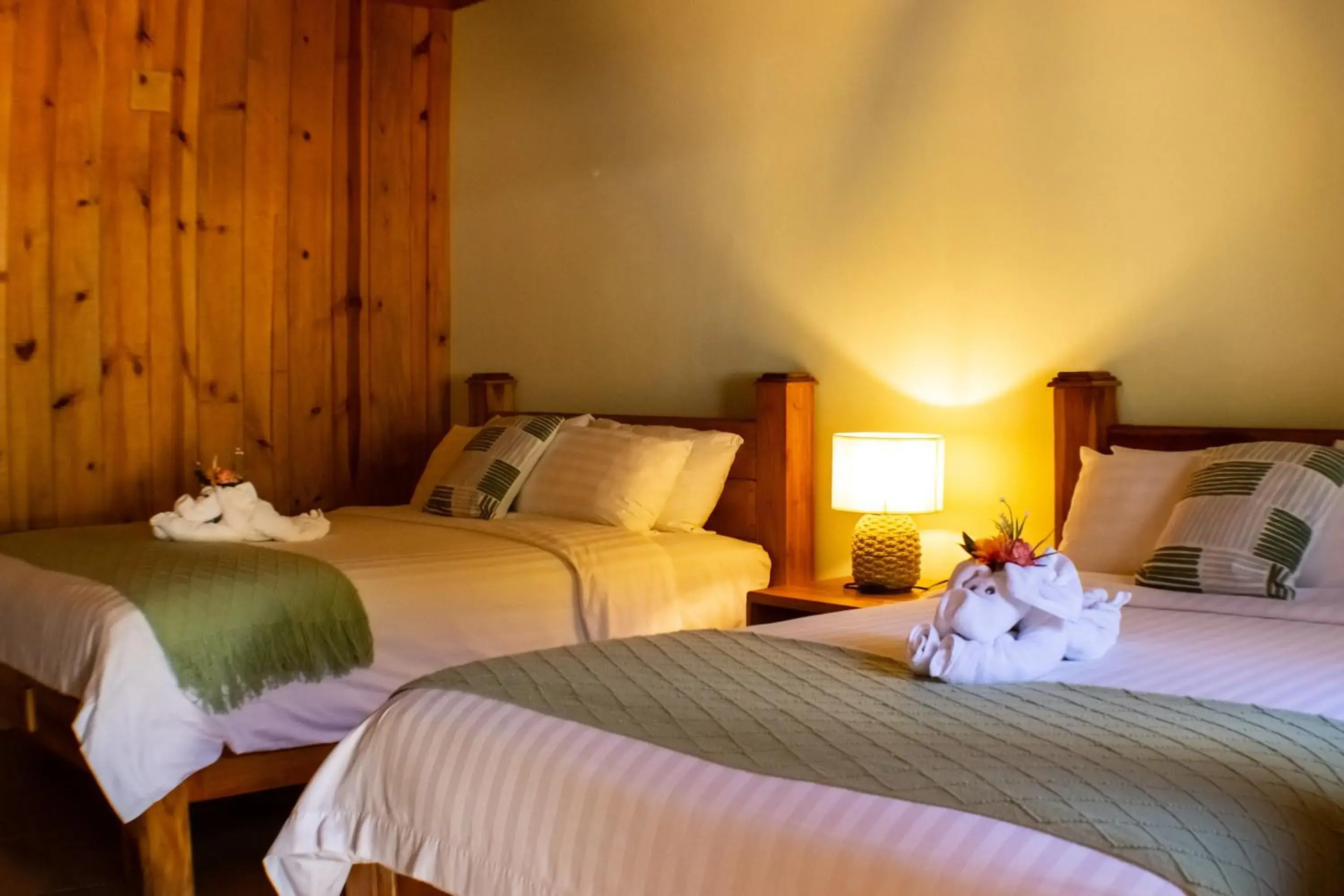 TREE TREK BOQUETE Adventure Park TREE TREK BOQUETE Adventure Park