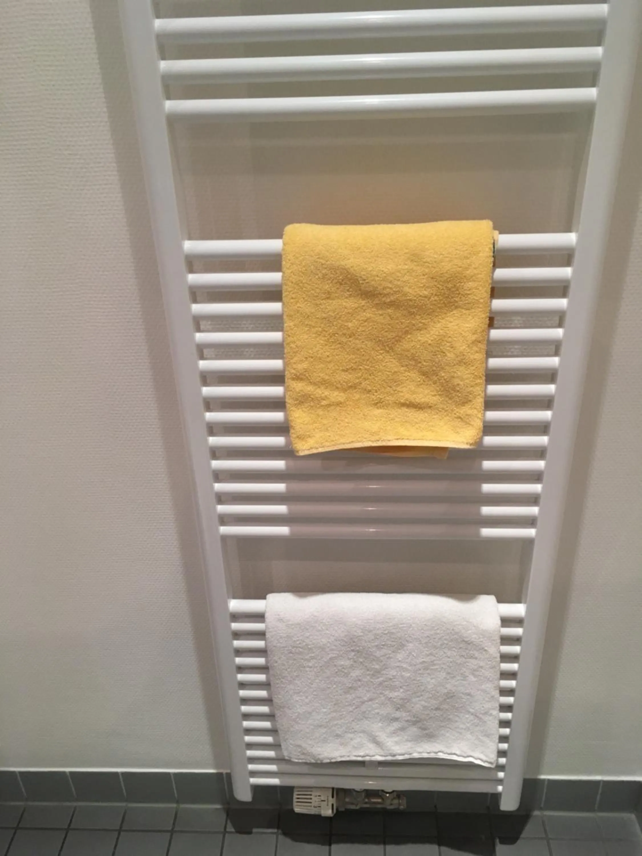 Shower in Tandem Hotel