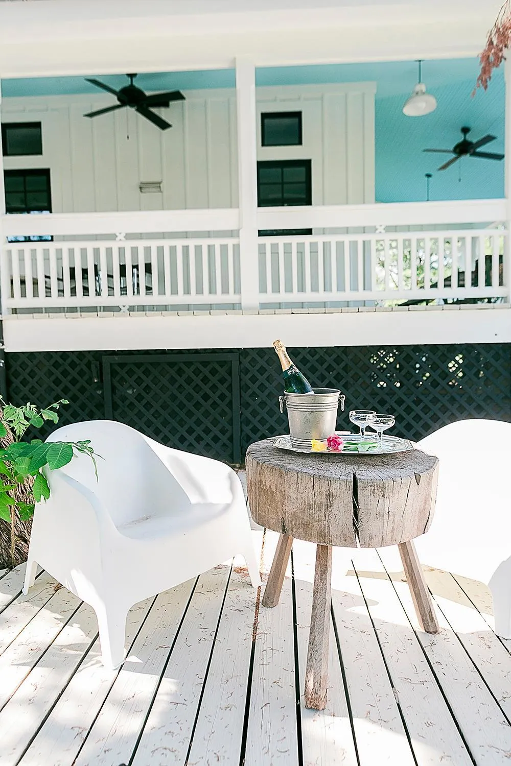 Property building in The Frenchie