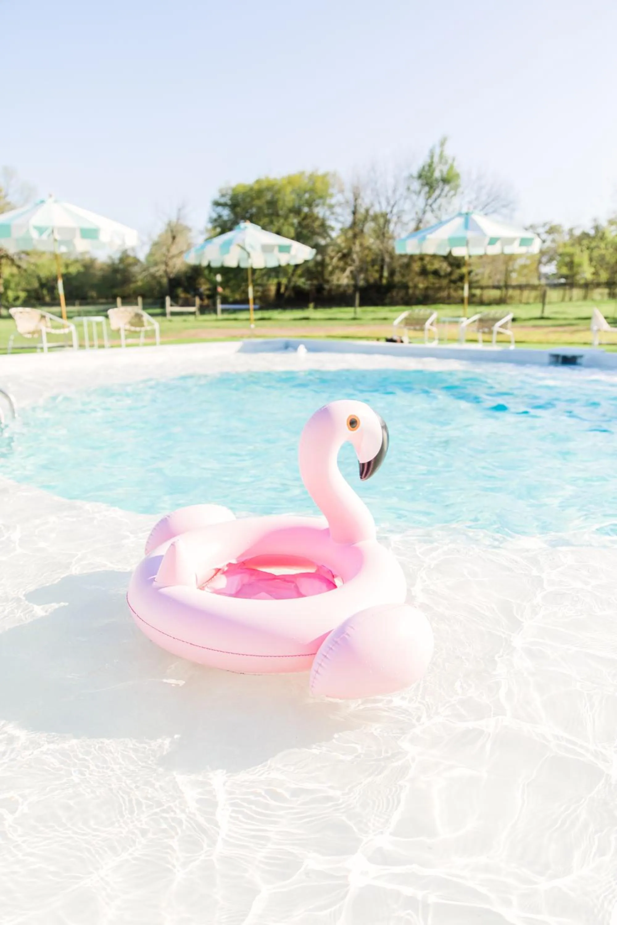 Swimming pool in The Frenchie