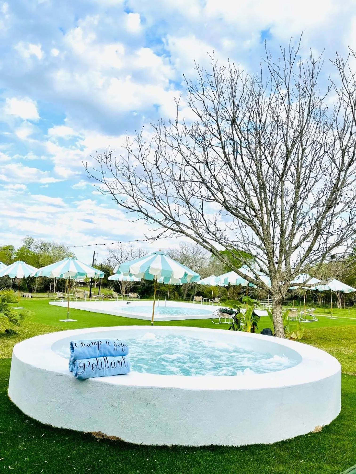 Swimming pool in The Frenchie