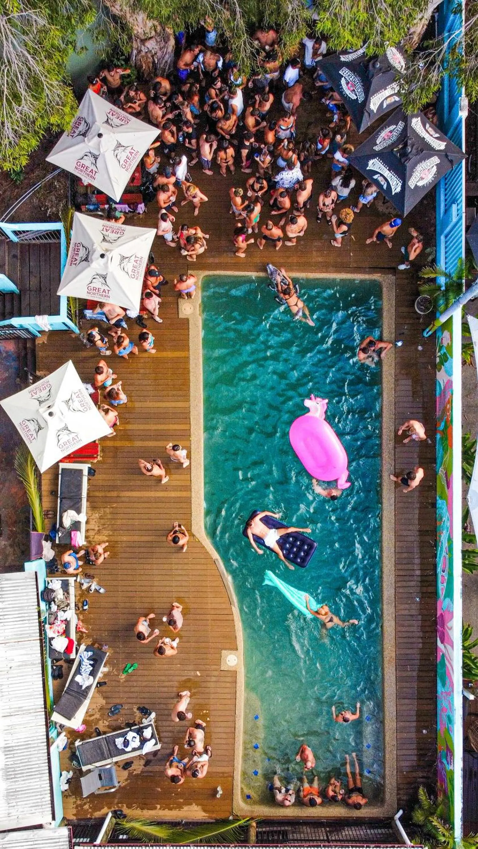 Swimming pool in Port Douglas Backpackers