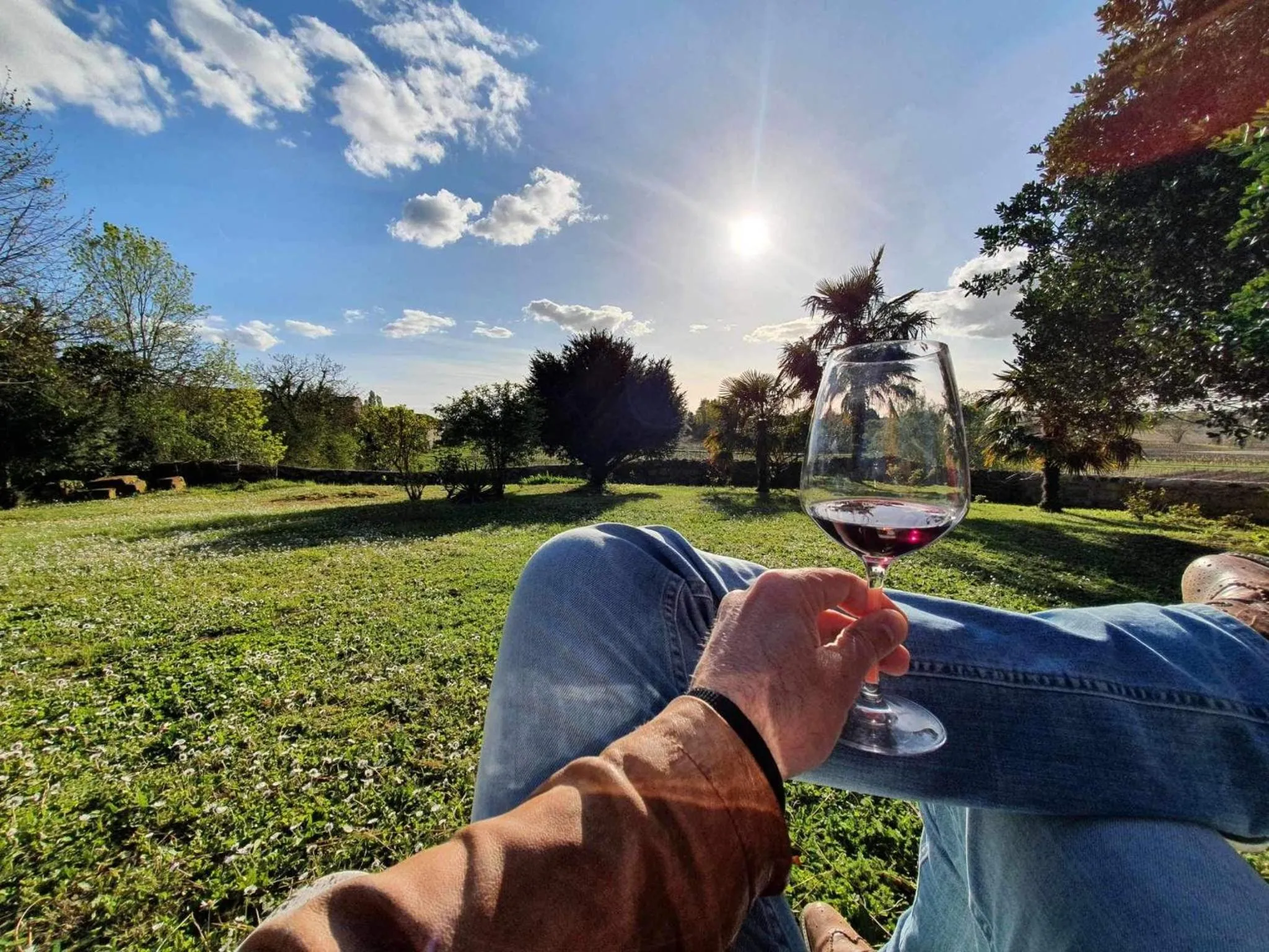 Garden view in Demeures & Château - Fleur de Roques - Puisseguin Saint Emilion