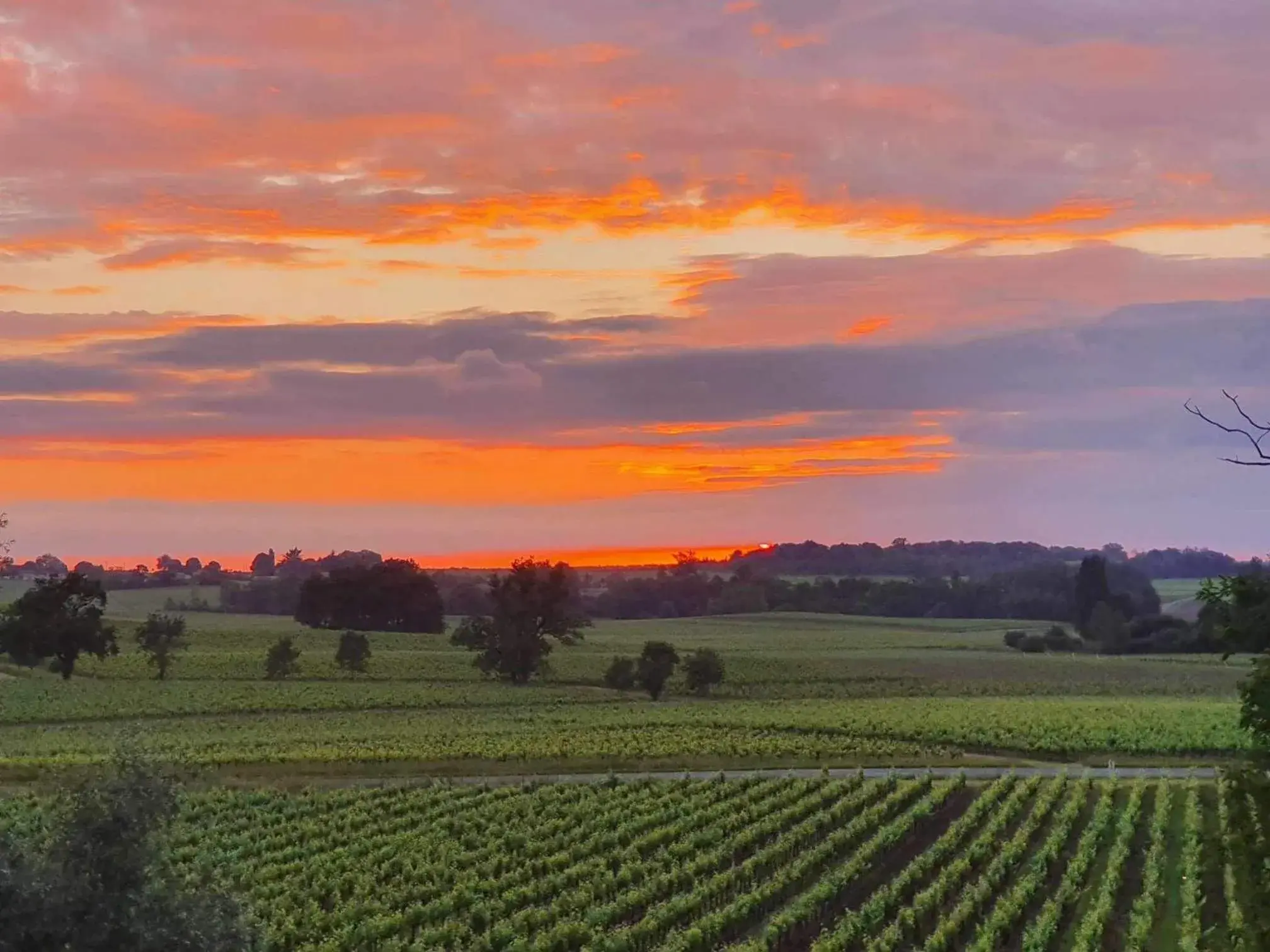 Bird's eye view in Demeures & Château - Fleur de Roques - Puisseguin Saint Emilion Bird's eye view in Demeures & Château - Fleur de Roques - Puisseguin Saint Emilion