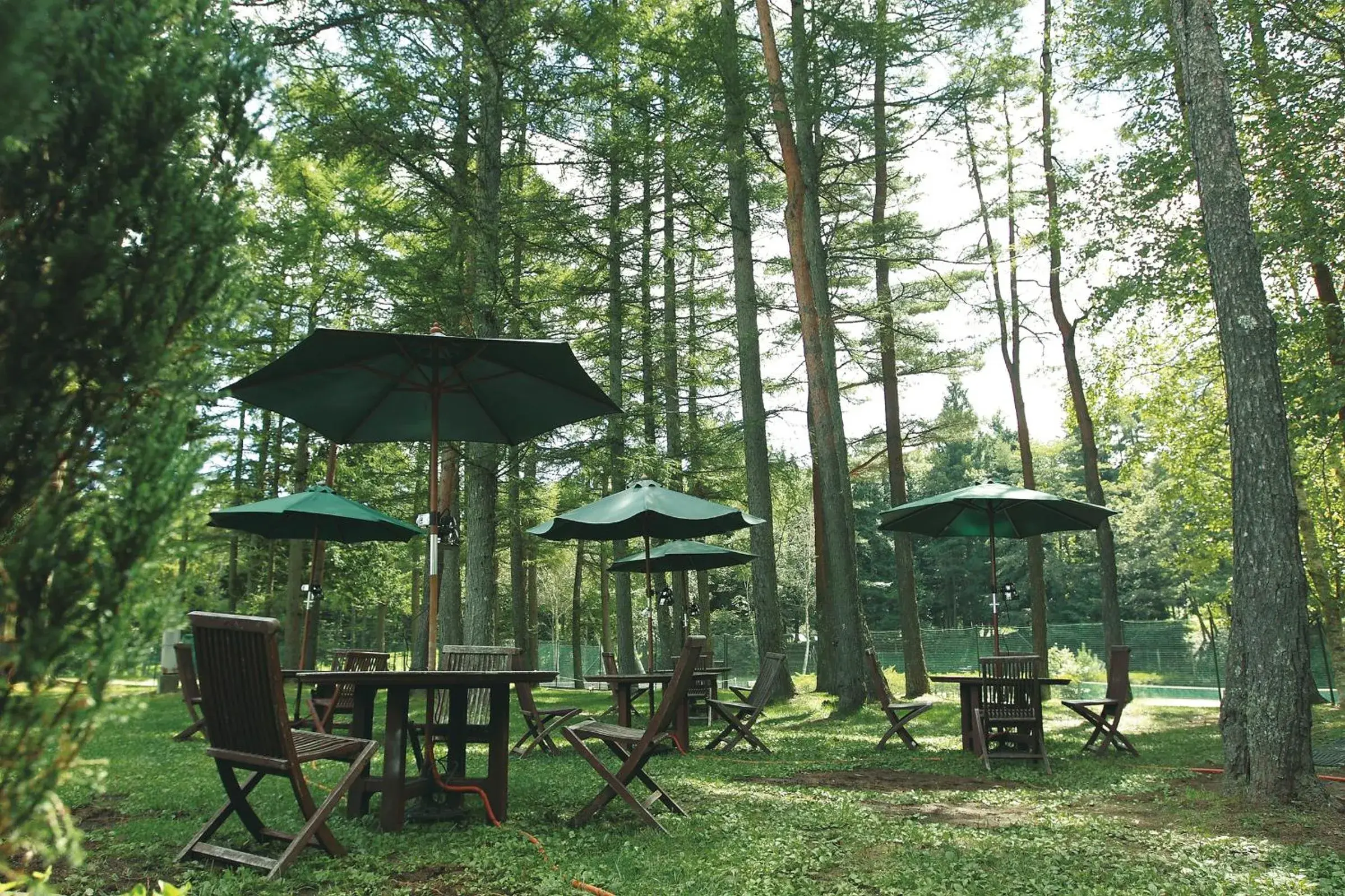 Restaurant/places to eat in Fuji Premium Resort Restaurant/places to eat in Fuji Premium Resort