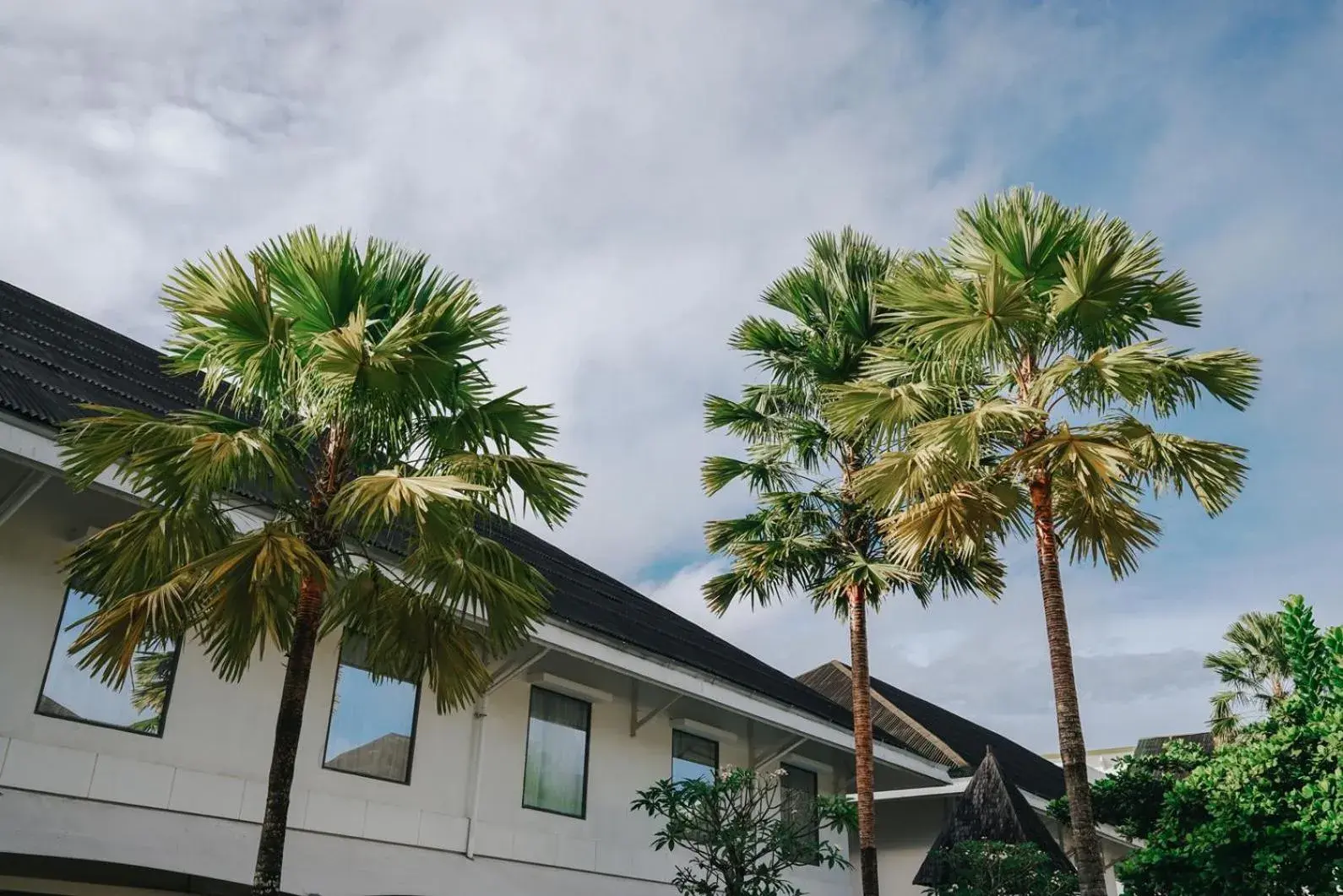 Pool view in Novotel Banjarmasin Airport Pool view in Novotel Banjarmasin Airport