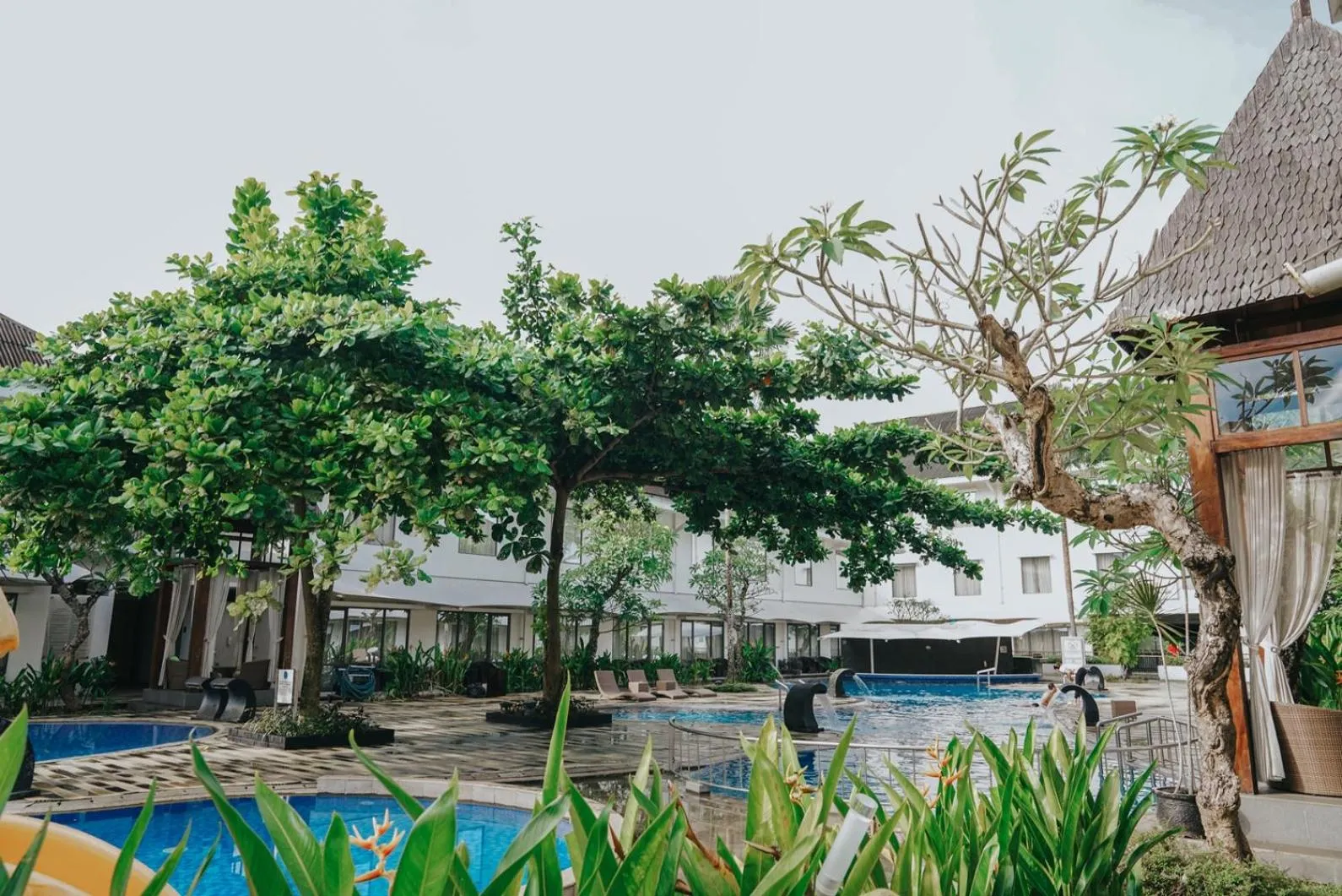 Swimming pool in Novotel Banjarmasin Airport