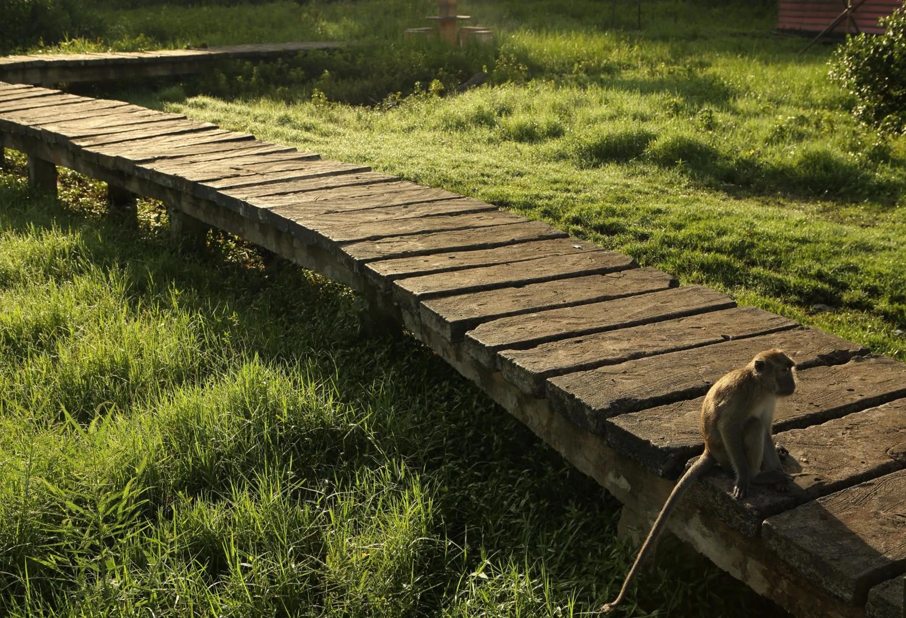 Day in Novotel Banjarmasin Airport