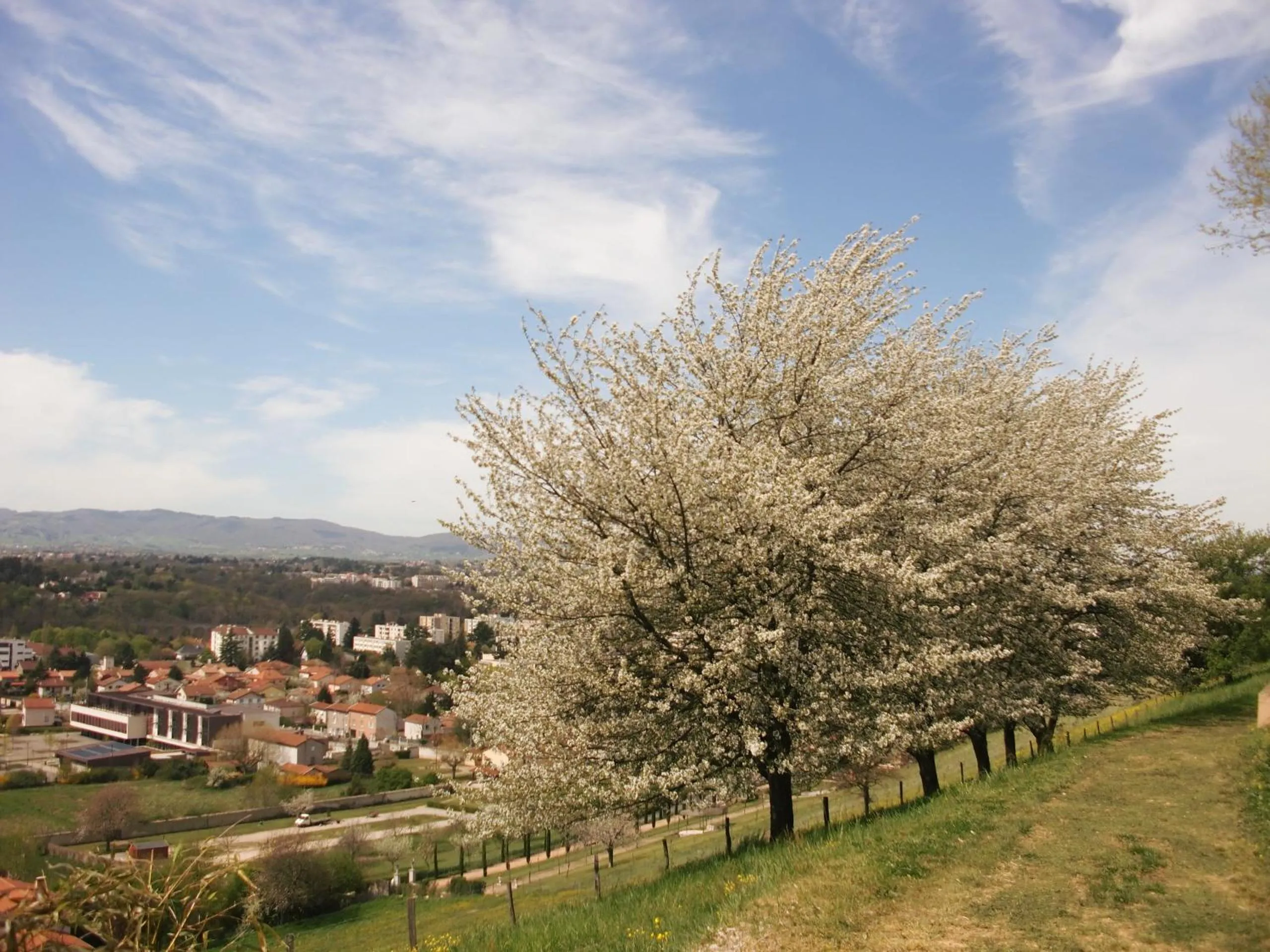 Garden in Domaine Lyon Saint Joseph