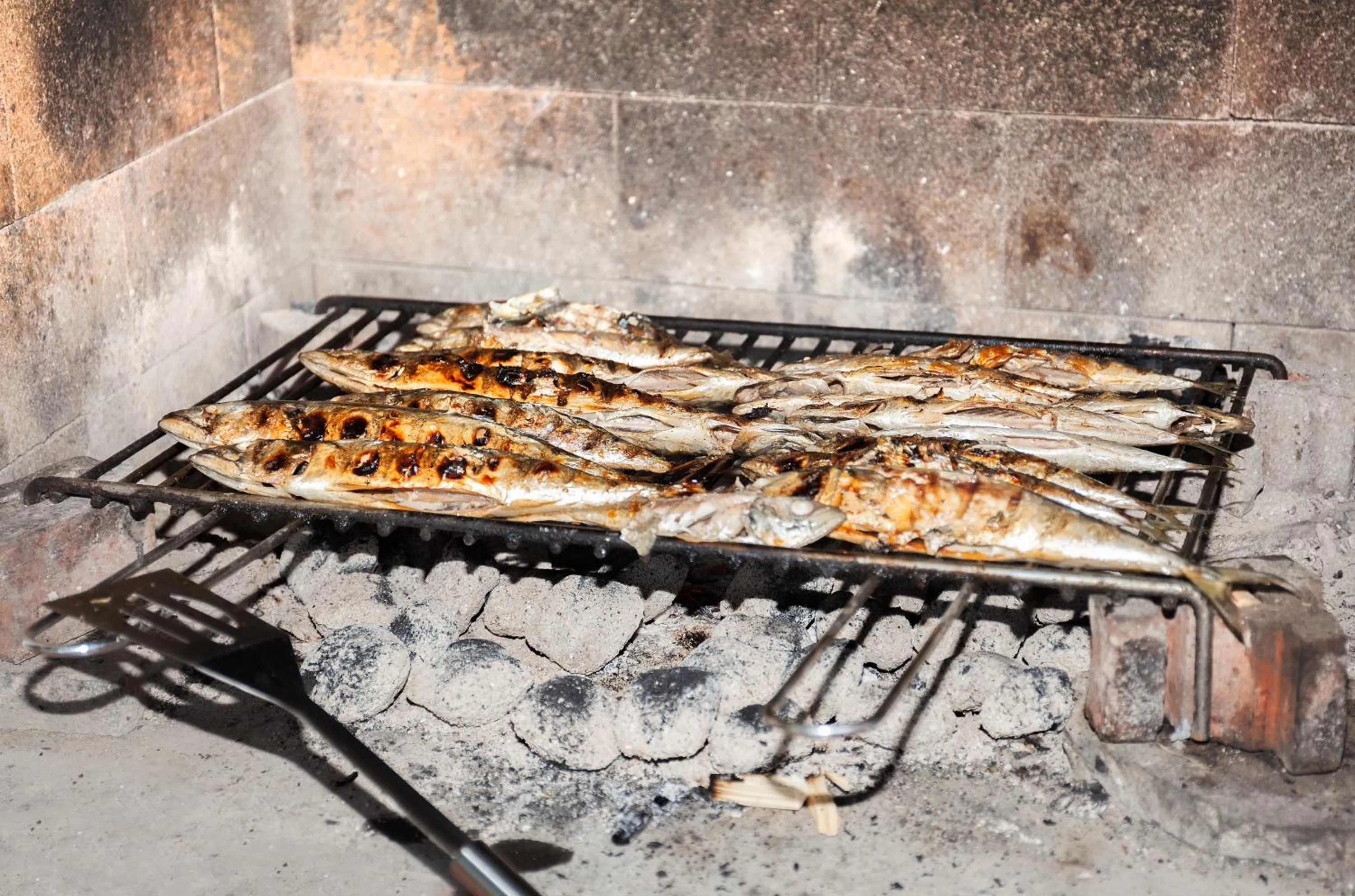 BBQ facilities in Apartment Villa Lidija