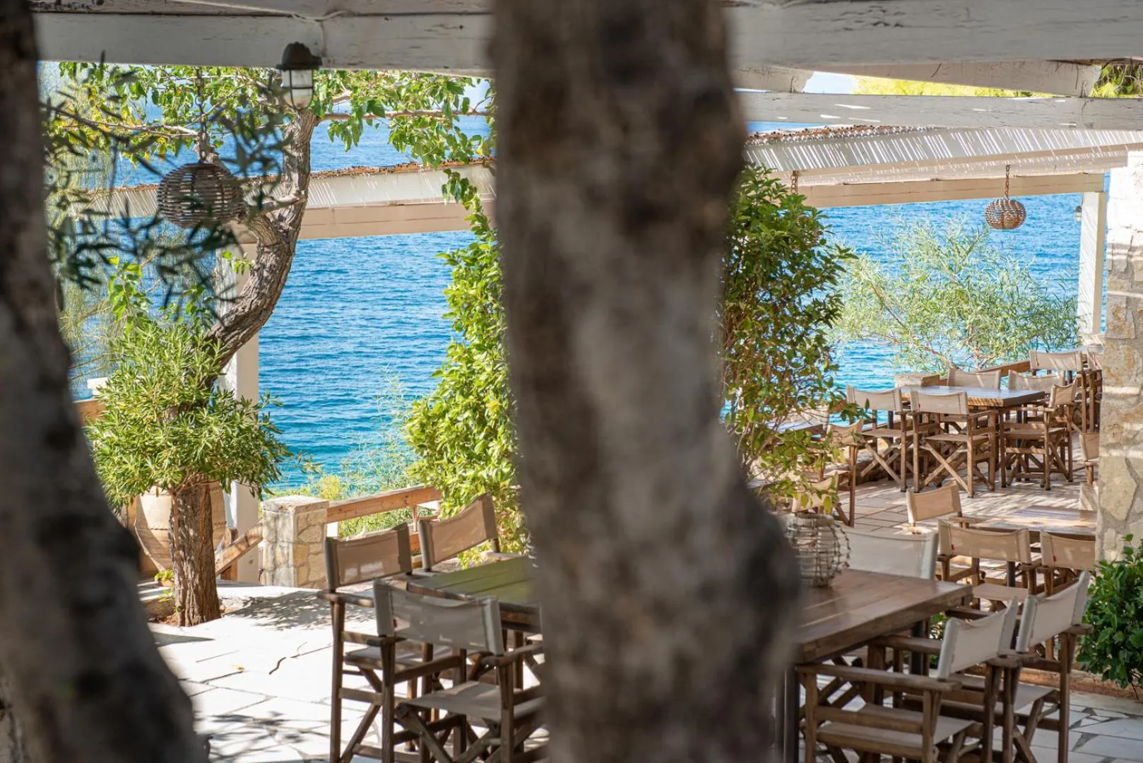 Garden in Hotel Cokkinis