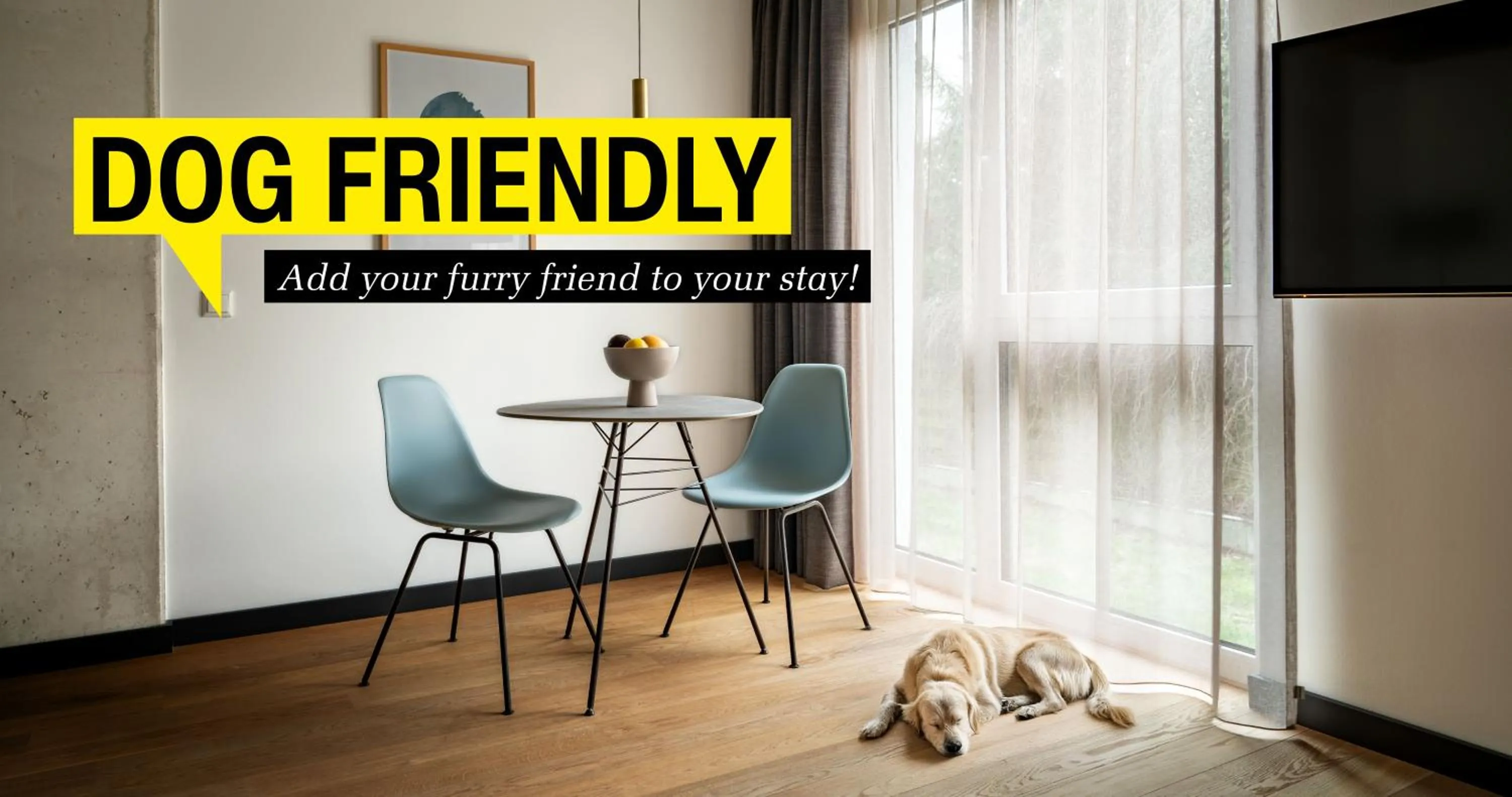 Pets in ipartment Wolfsburg