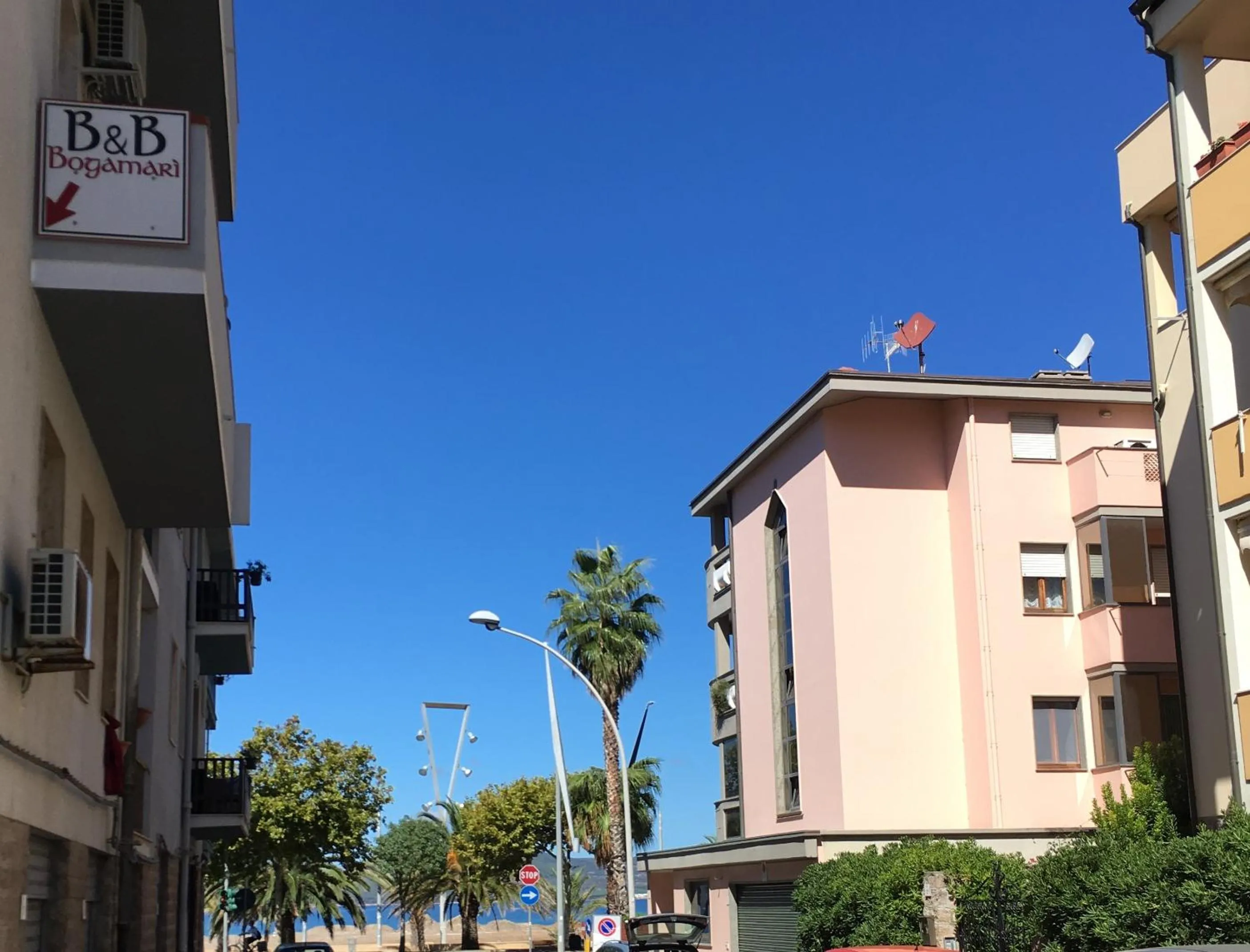 Bogamarì