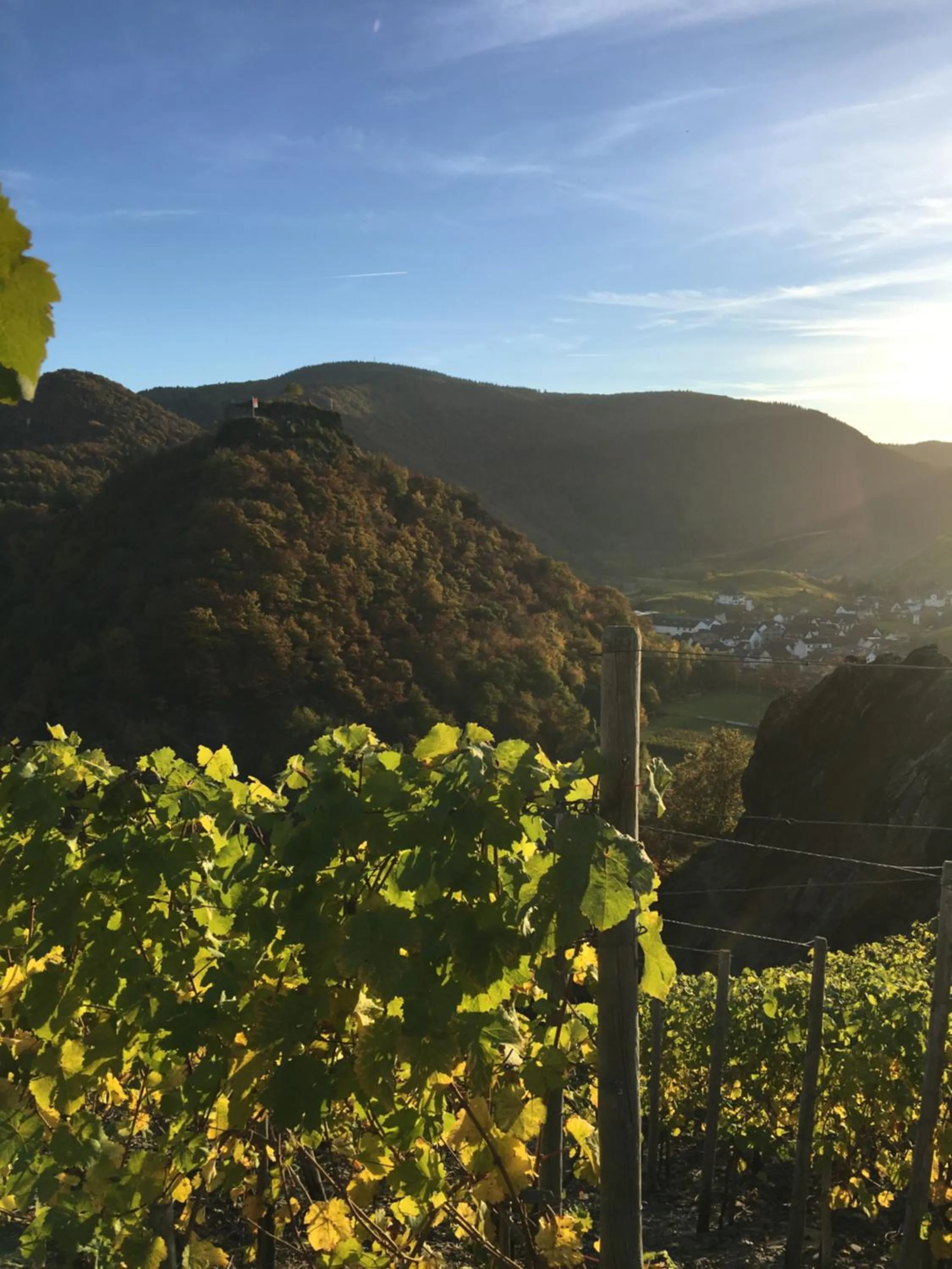 Natural landscape in StadtHotel ARTE