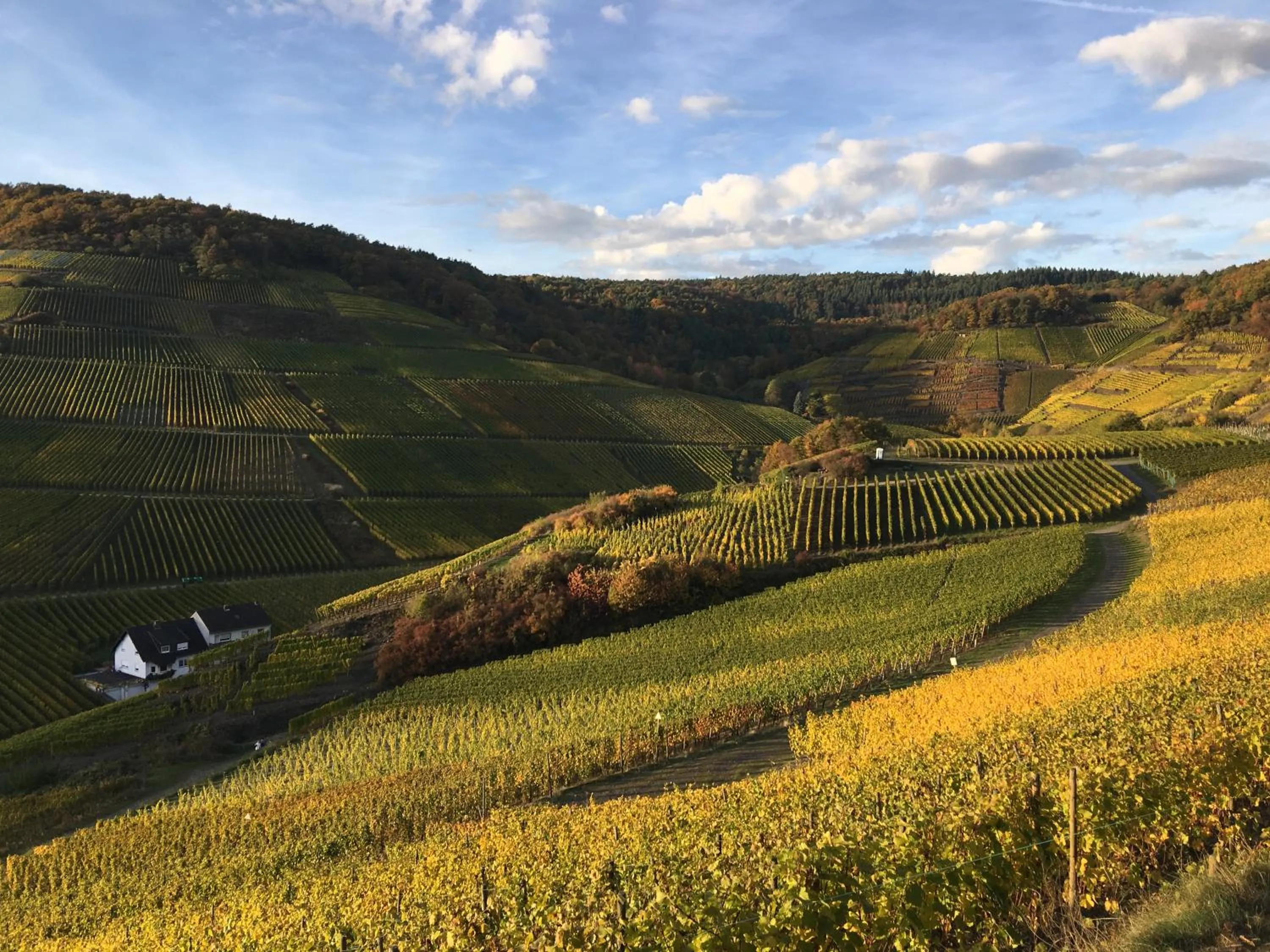 Neighbourhood in StadtHotel ARTE