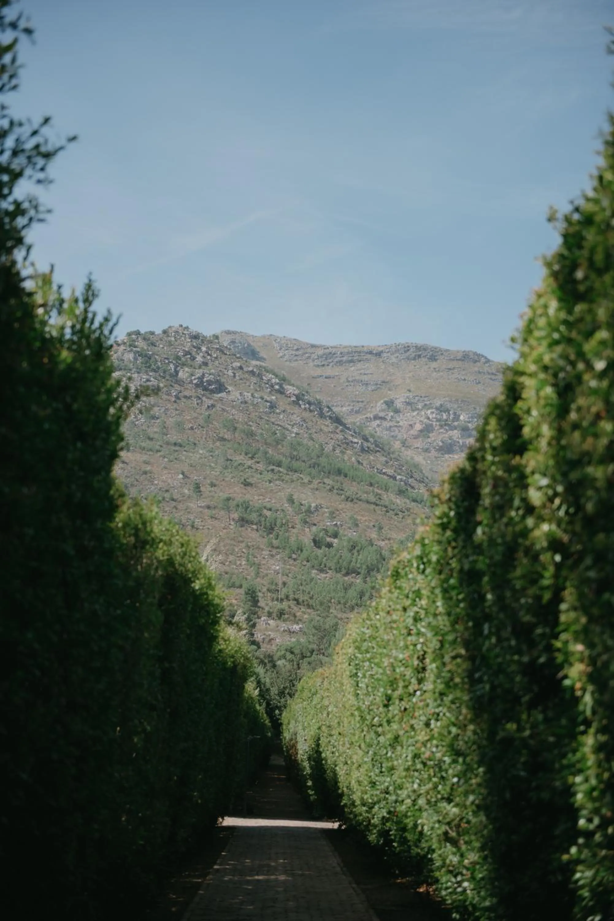 Garden in La Paris Estate