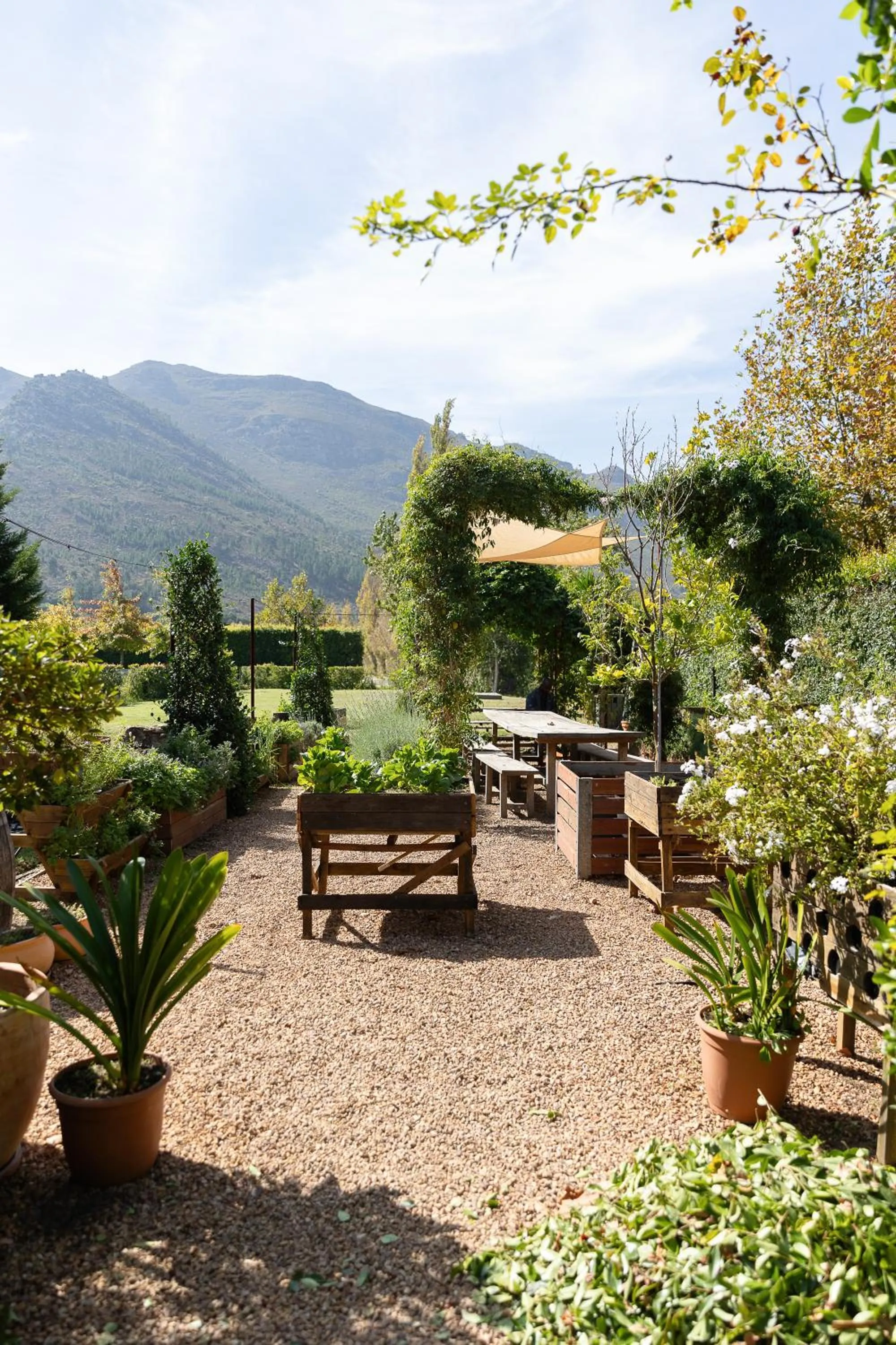 Natural landscape in La Paris Estate